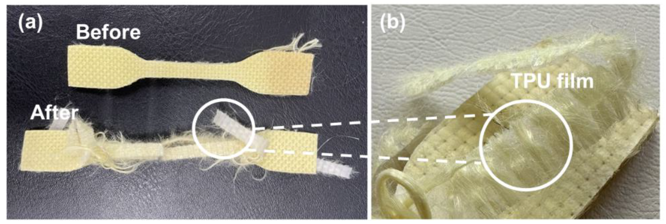Polymers 15 00292 g007 Polymers 15 00292 g007