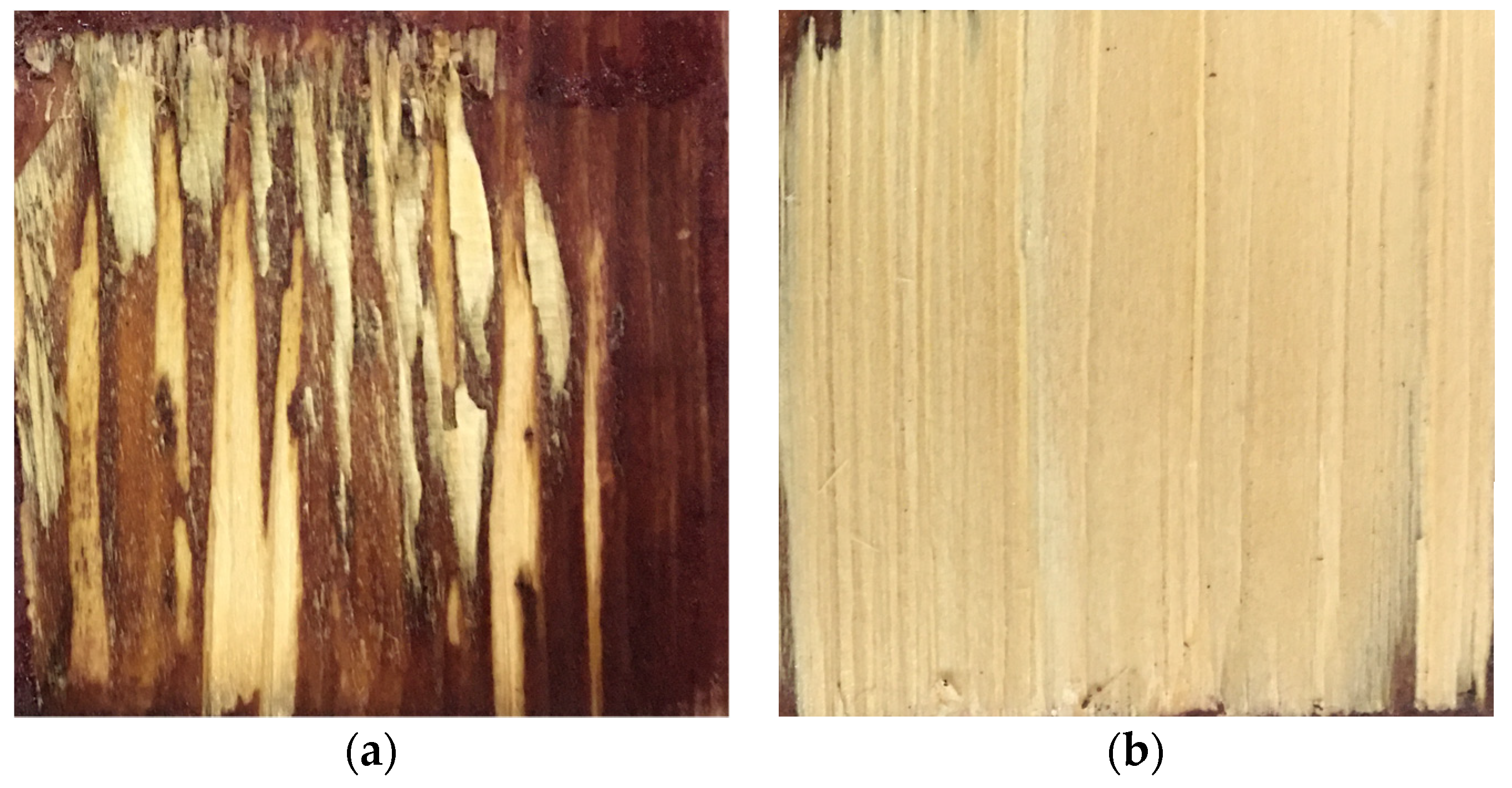 Polymers 15 00295 g014