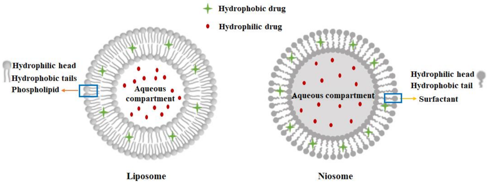 Polymers 15 00298 g001
