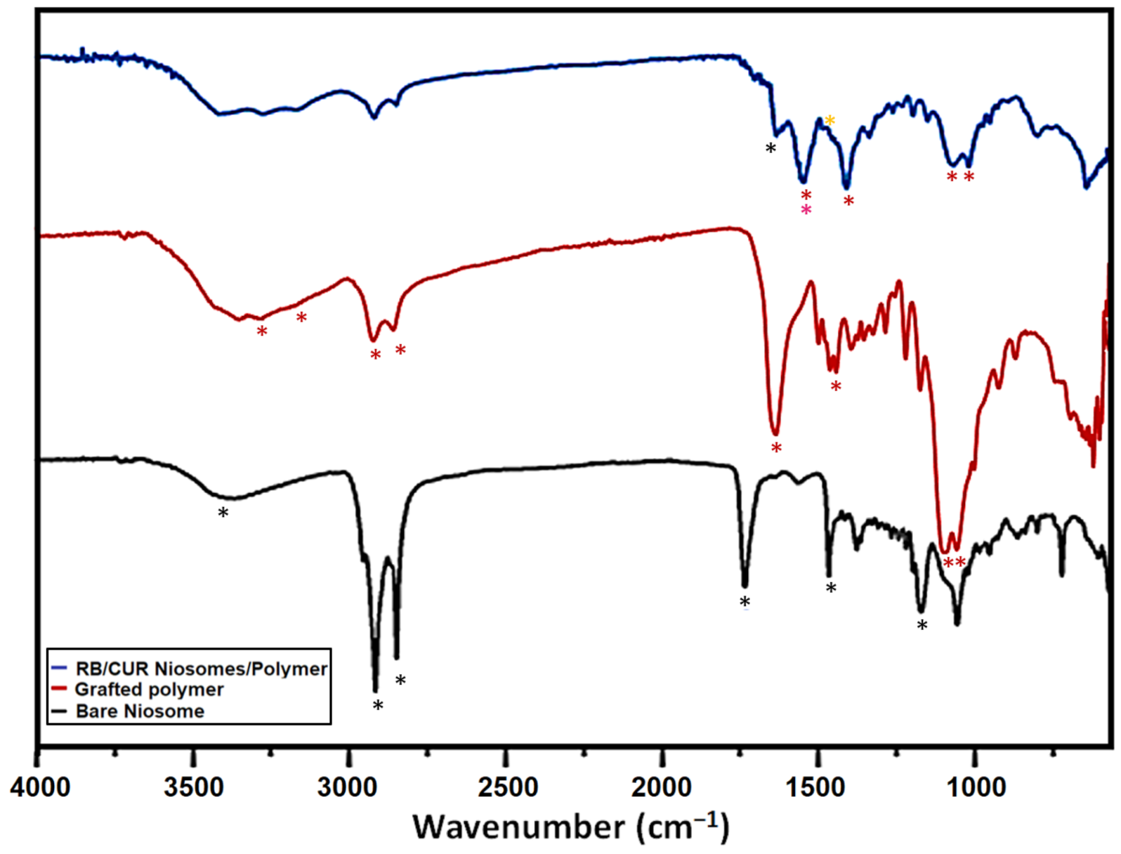 Polymers 15 00298 g003