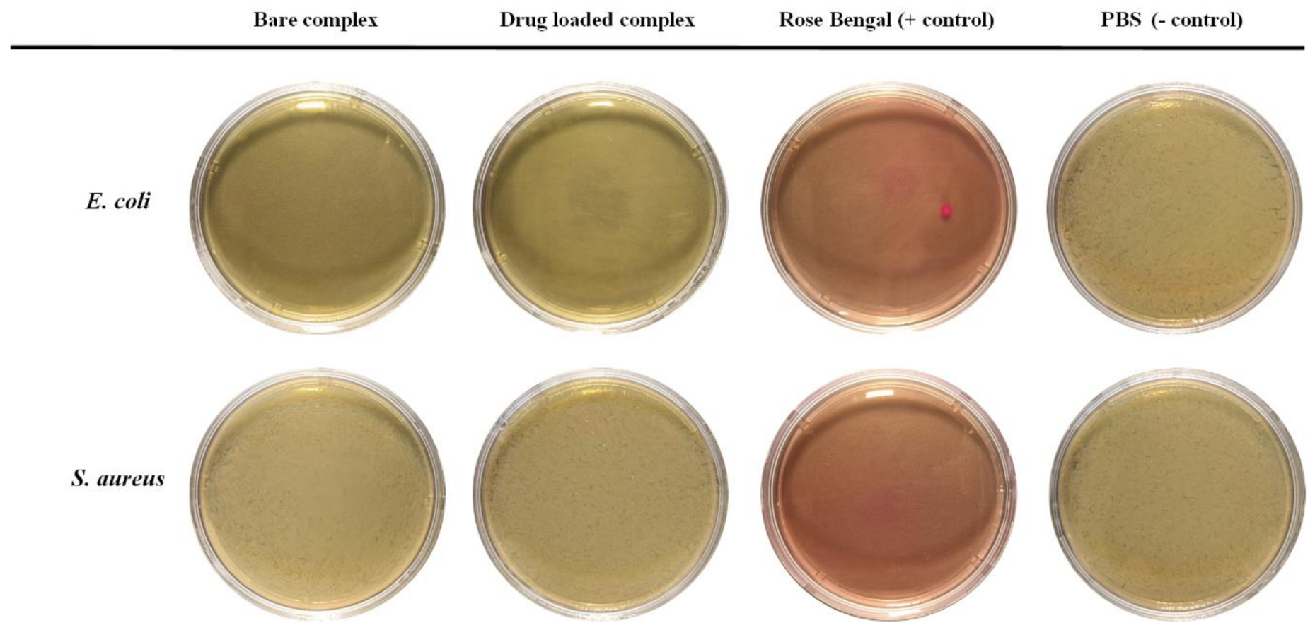 Polymers 15 00298 g006