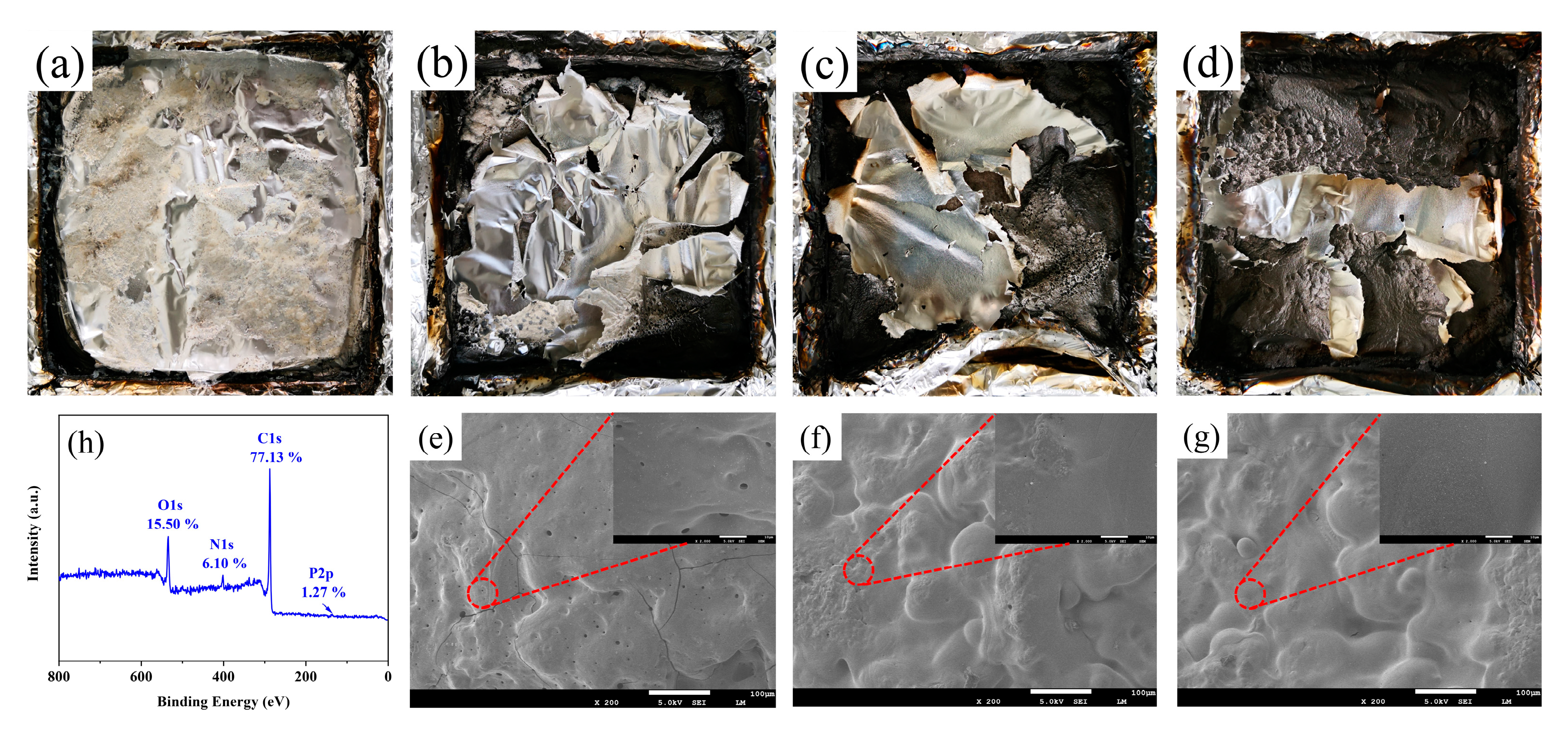 Polymers 15 00300 g004