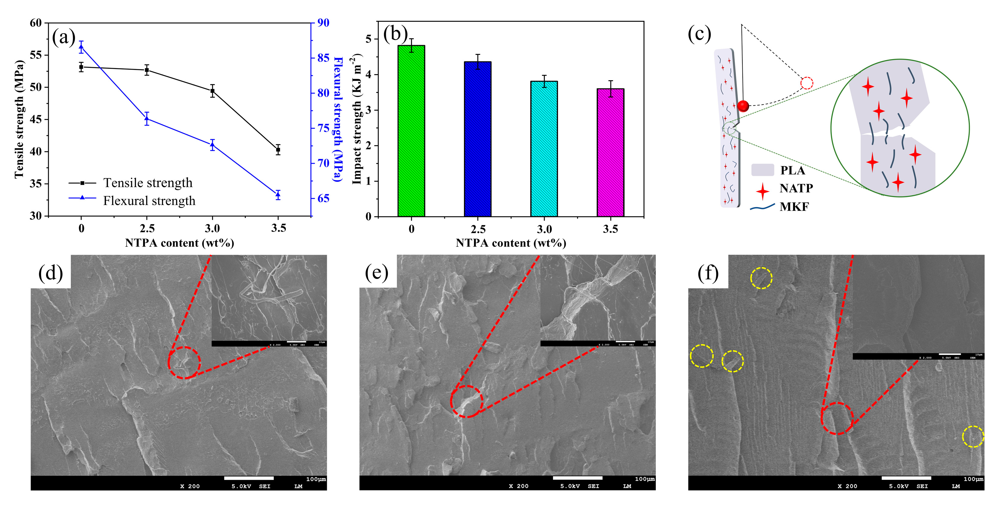 Polymers 15 00300 g006