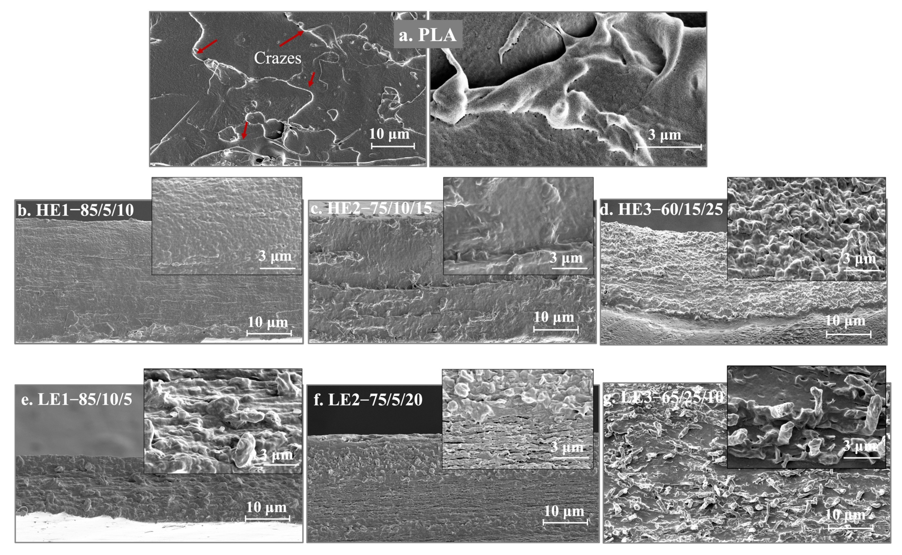 Polymers 15 00303 g003