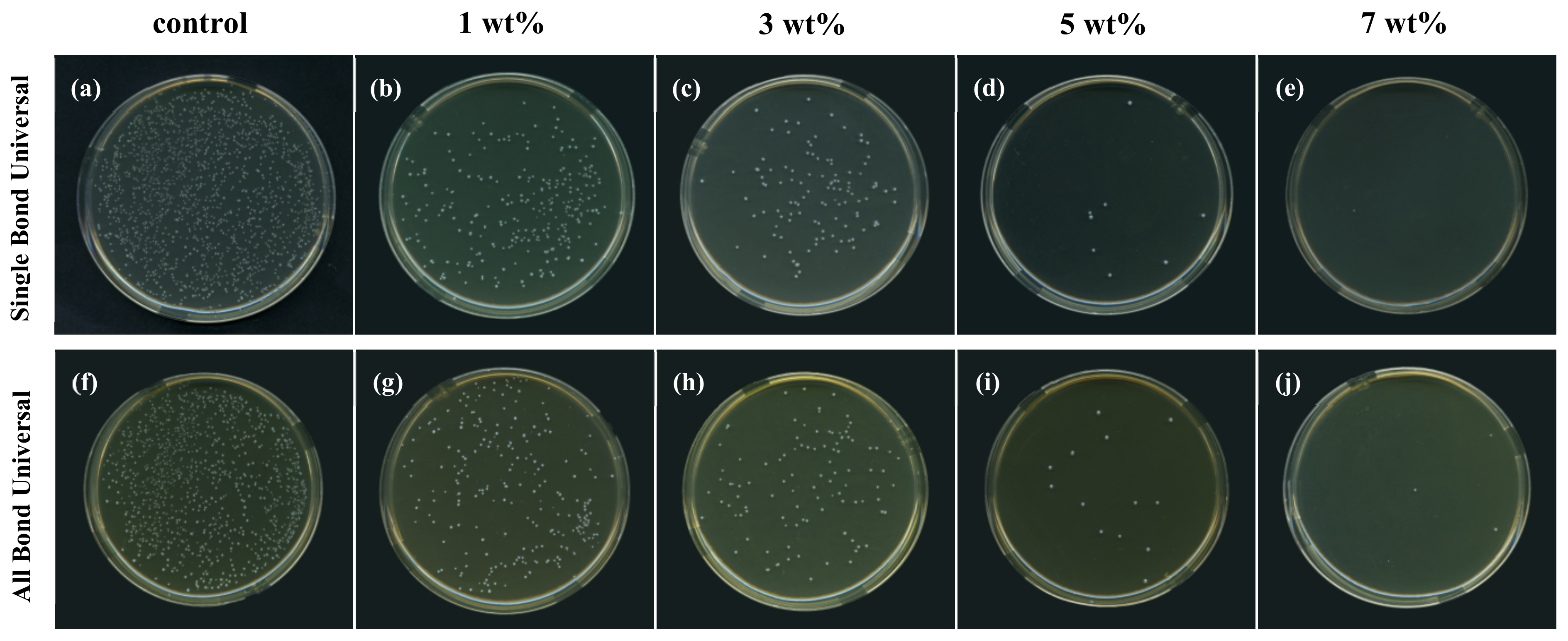 Polymers 15 00304 g002