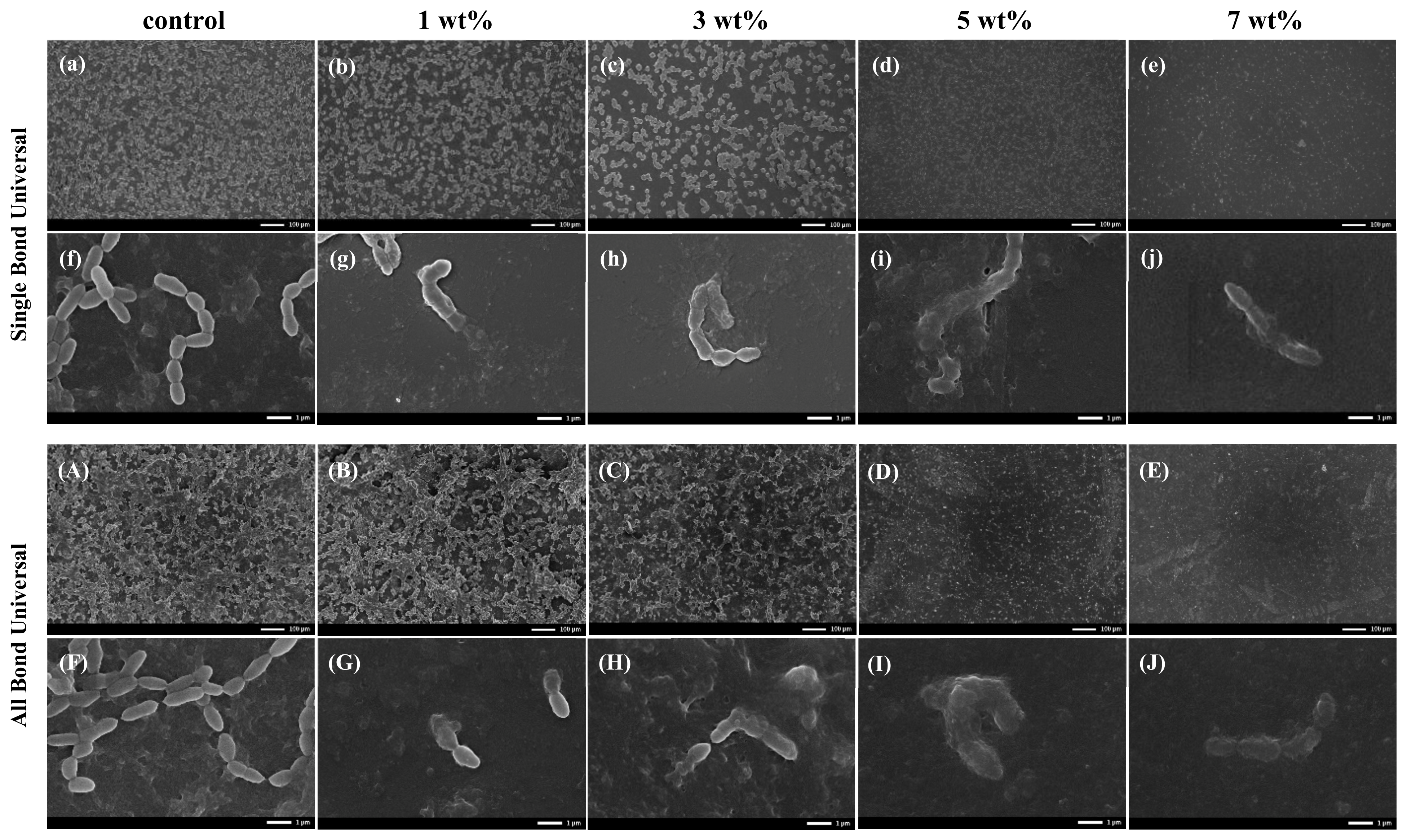 Polymers 15 00304 g004