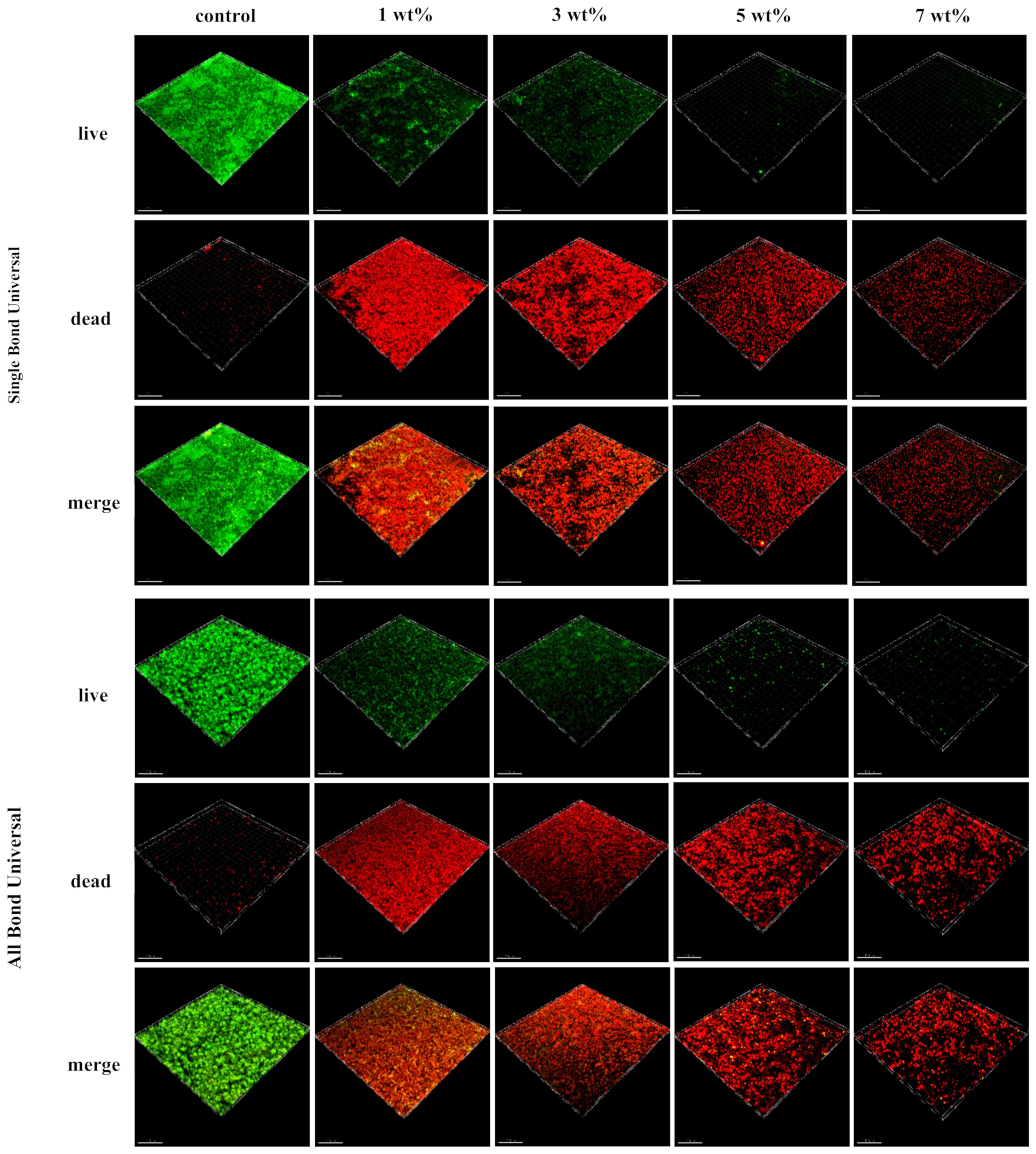 Polymers 15 00304 g005