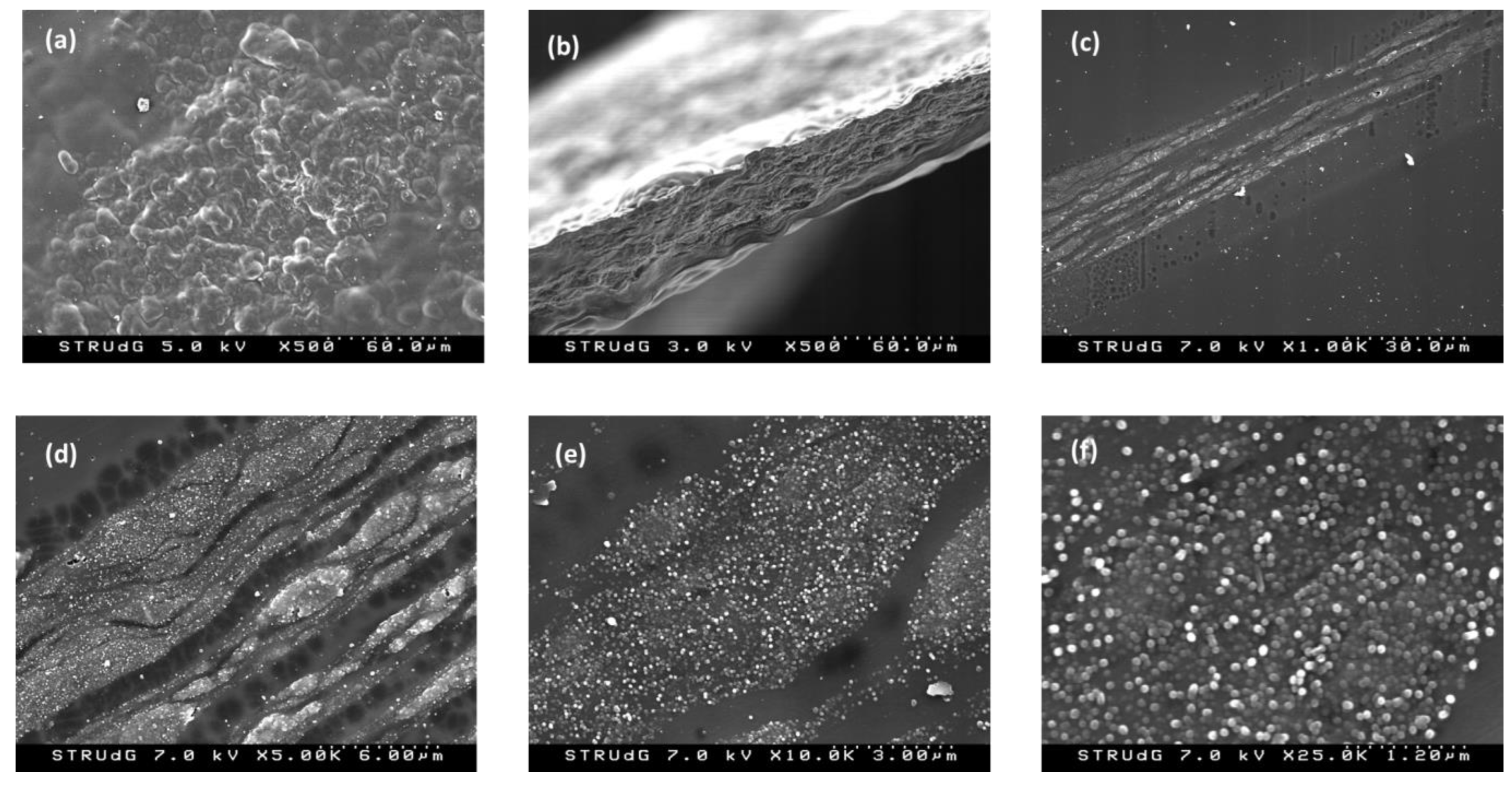 Polymers 15 00314 g003 Polymers 15 00314 g003