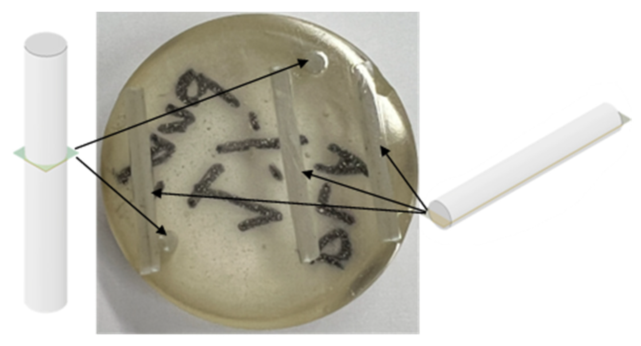 Polymers 15 00315 g005 Polymers 15 00315 g005