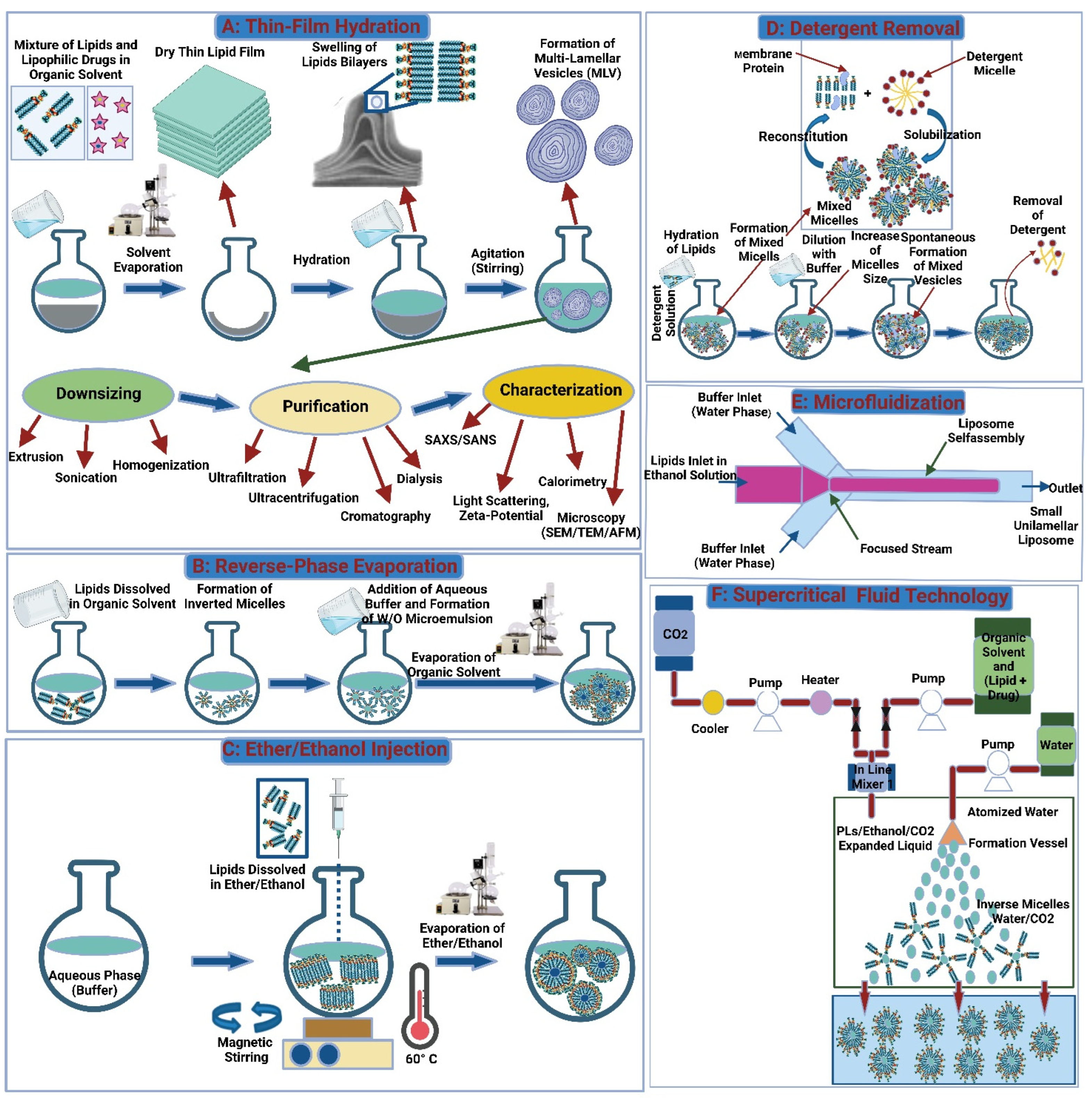 Polymers 15 00318 g004
