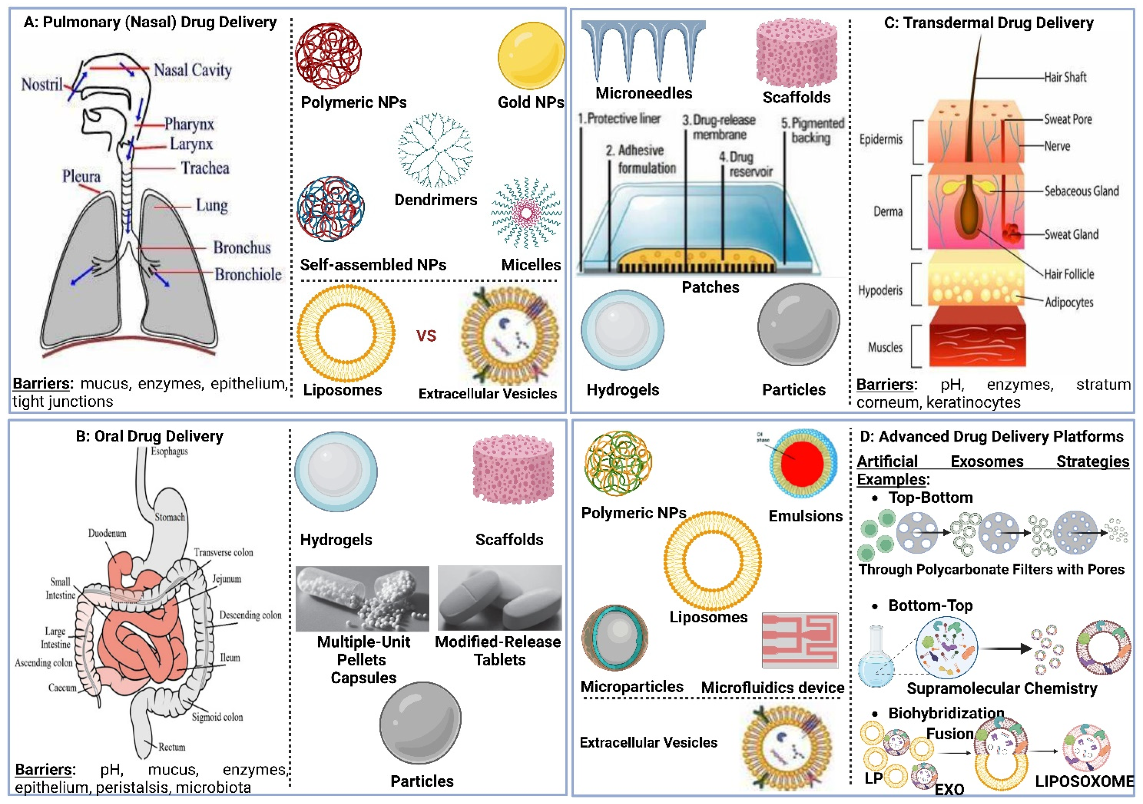 Polymers 15 00318 g006