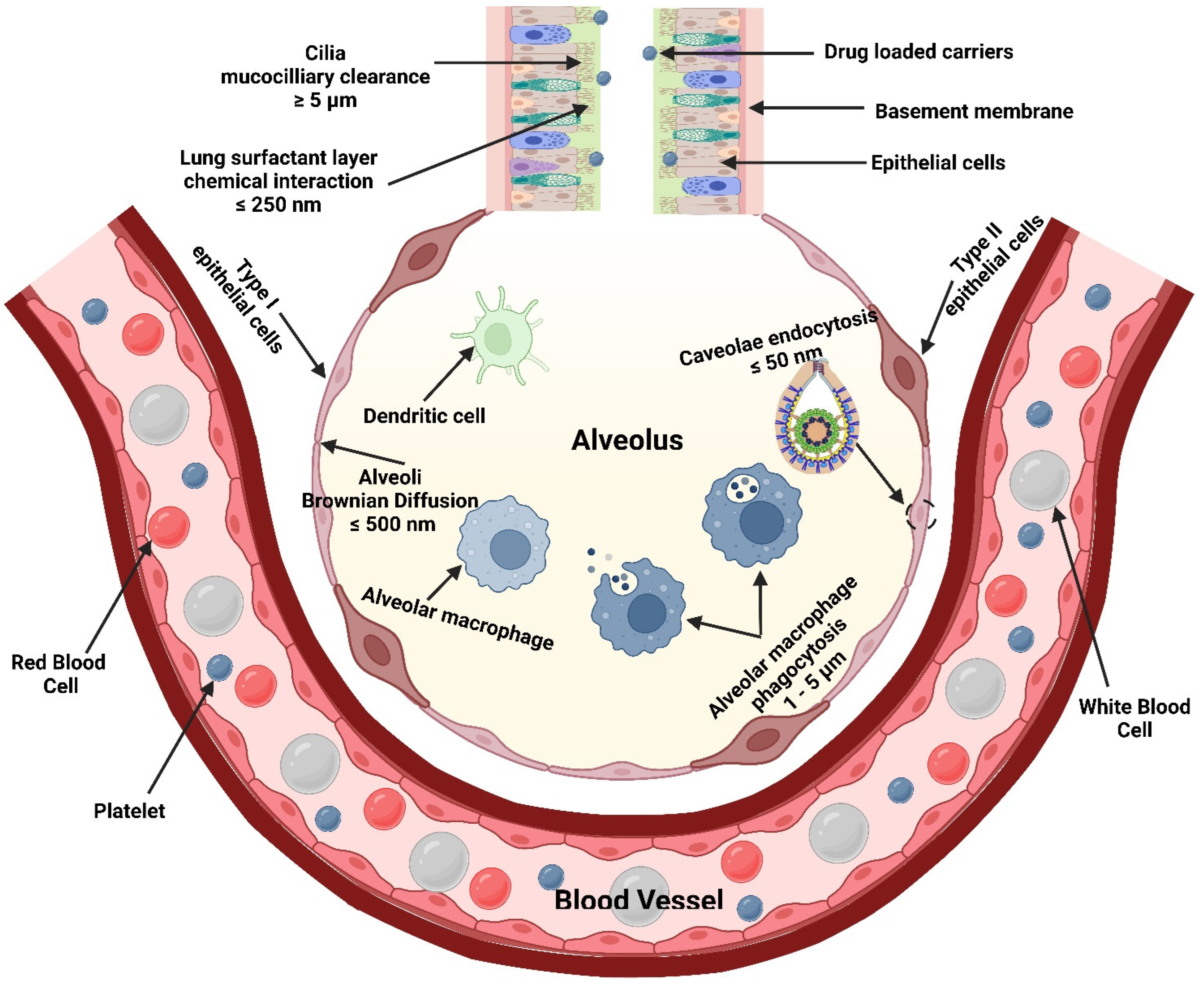 Polymers 15 00318 g009