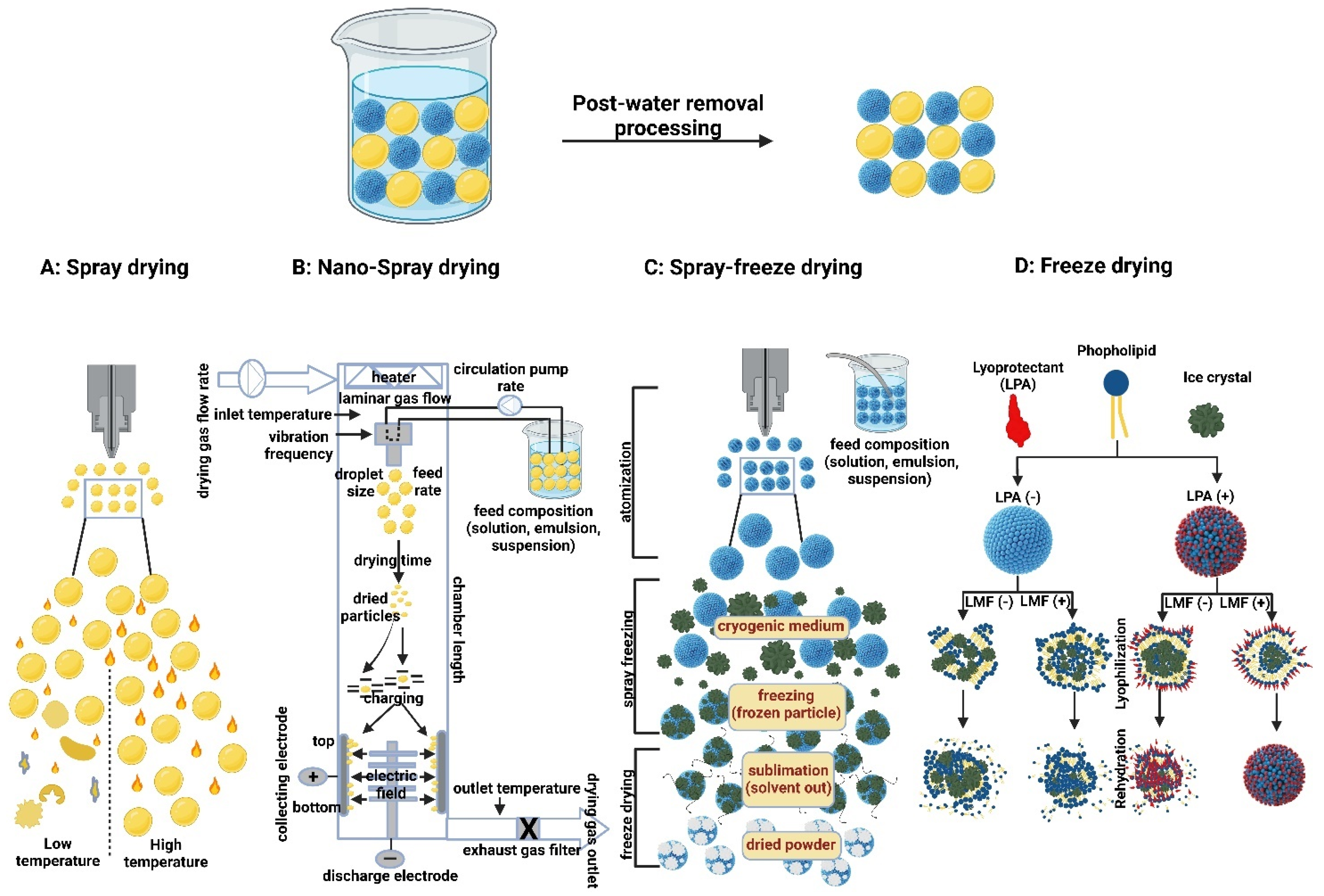 Polymers 15 00318 g010