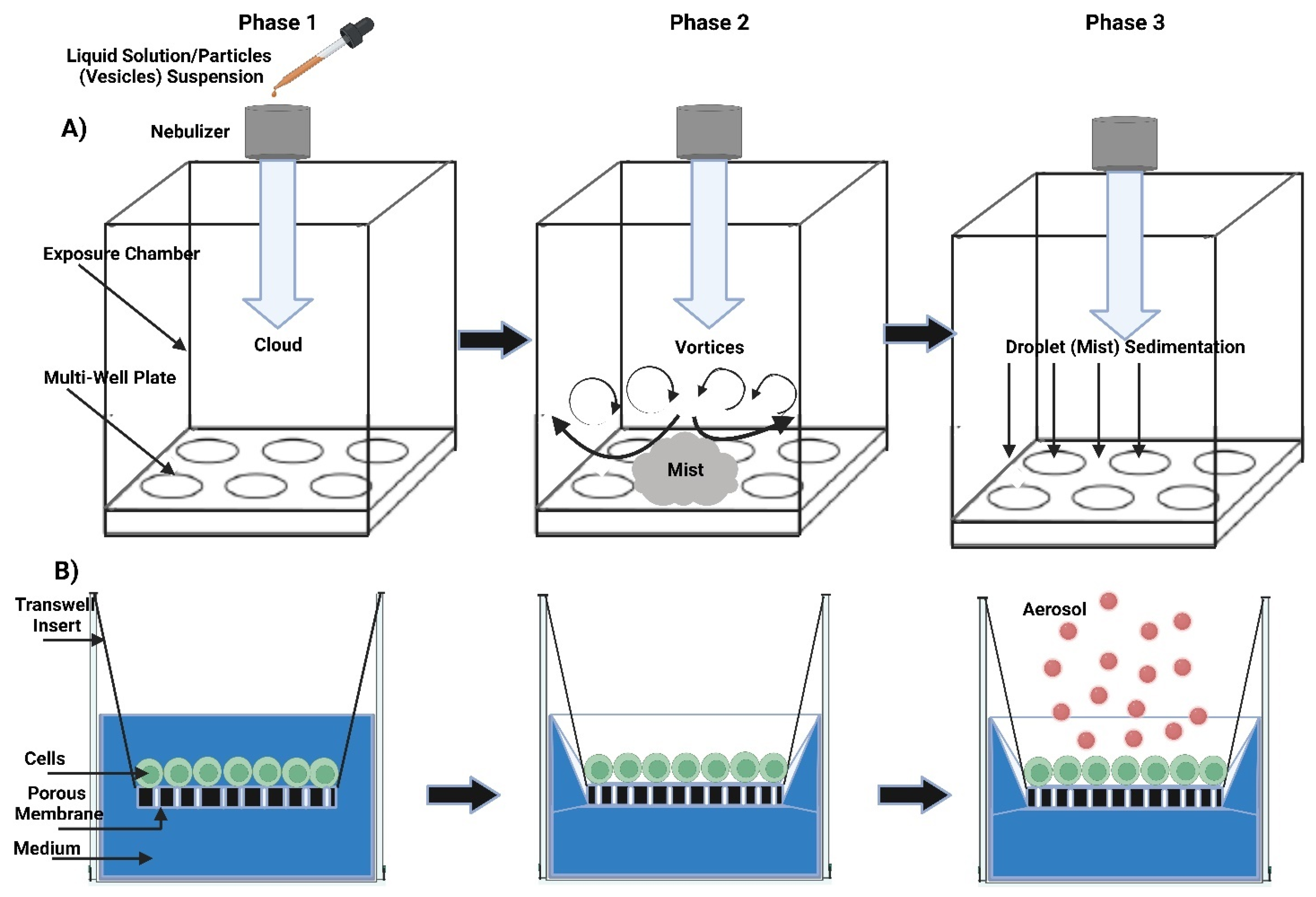 Polymers 15 00318 g014