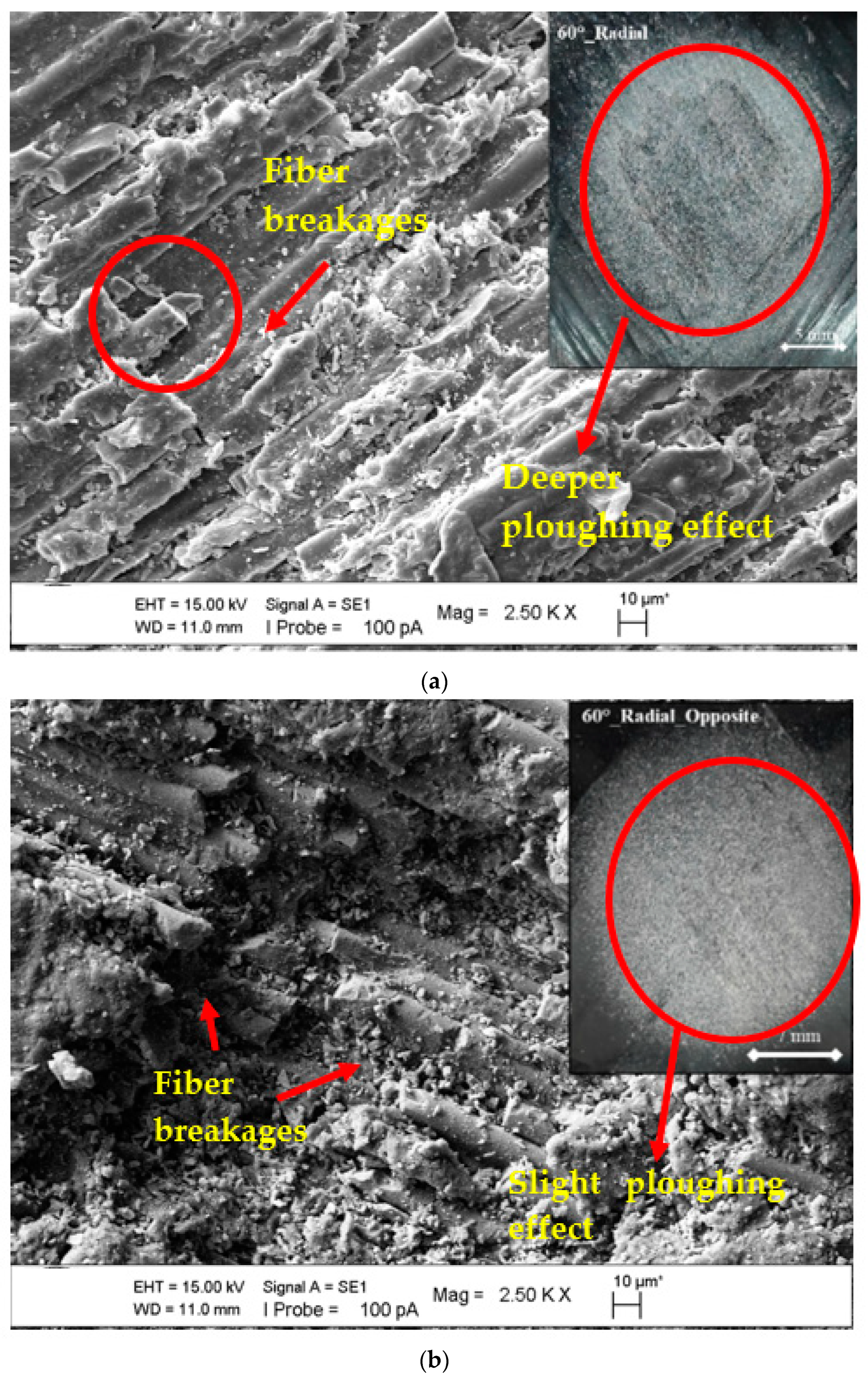 Polymers 15 00319 g013a Polymers 15 00319 g013a