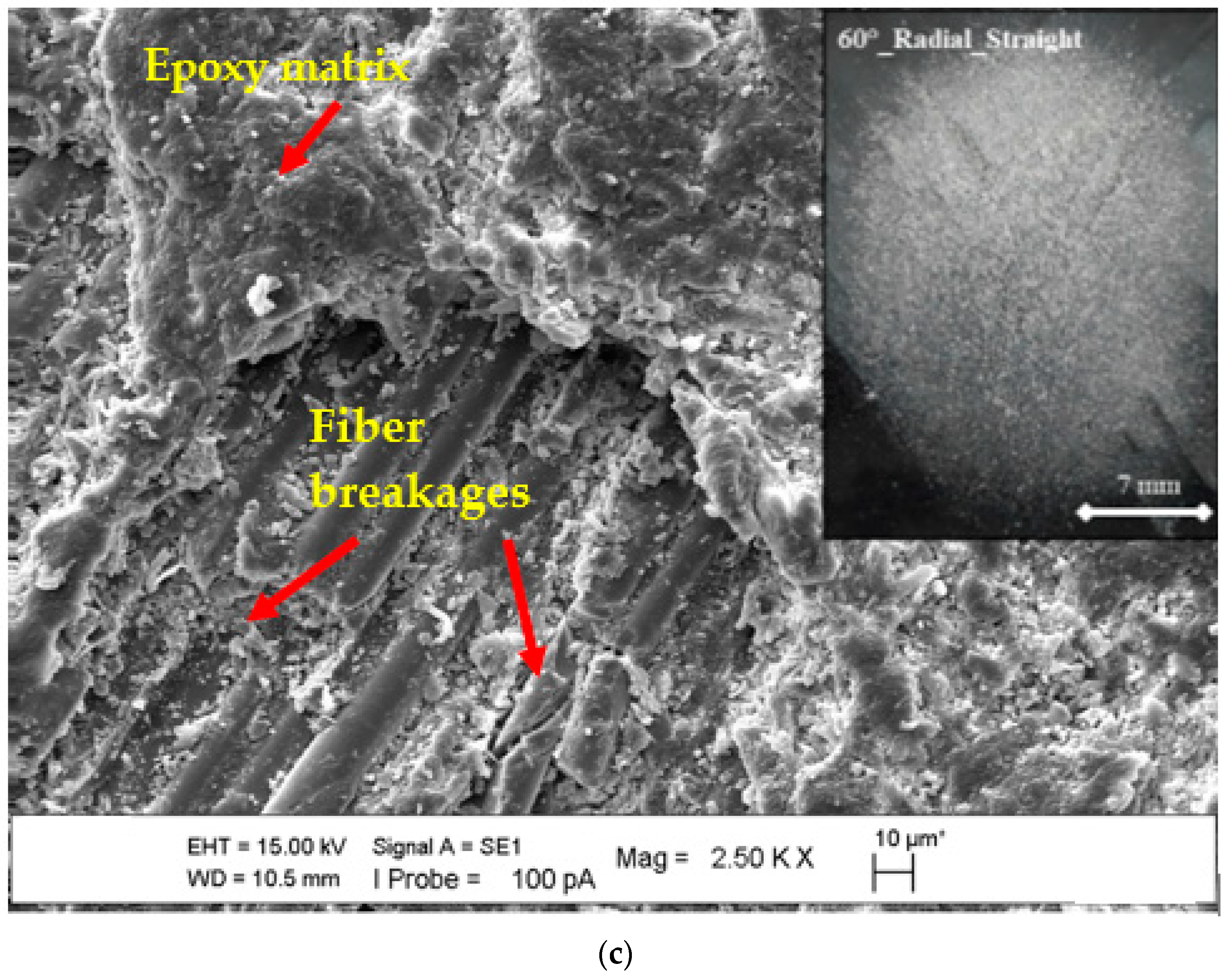 Polymers 15 00319 g013b Polymers 15 00319 g013b