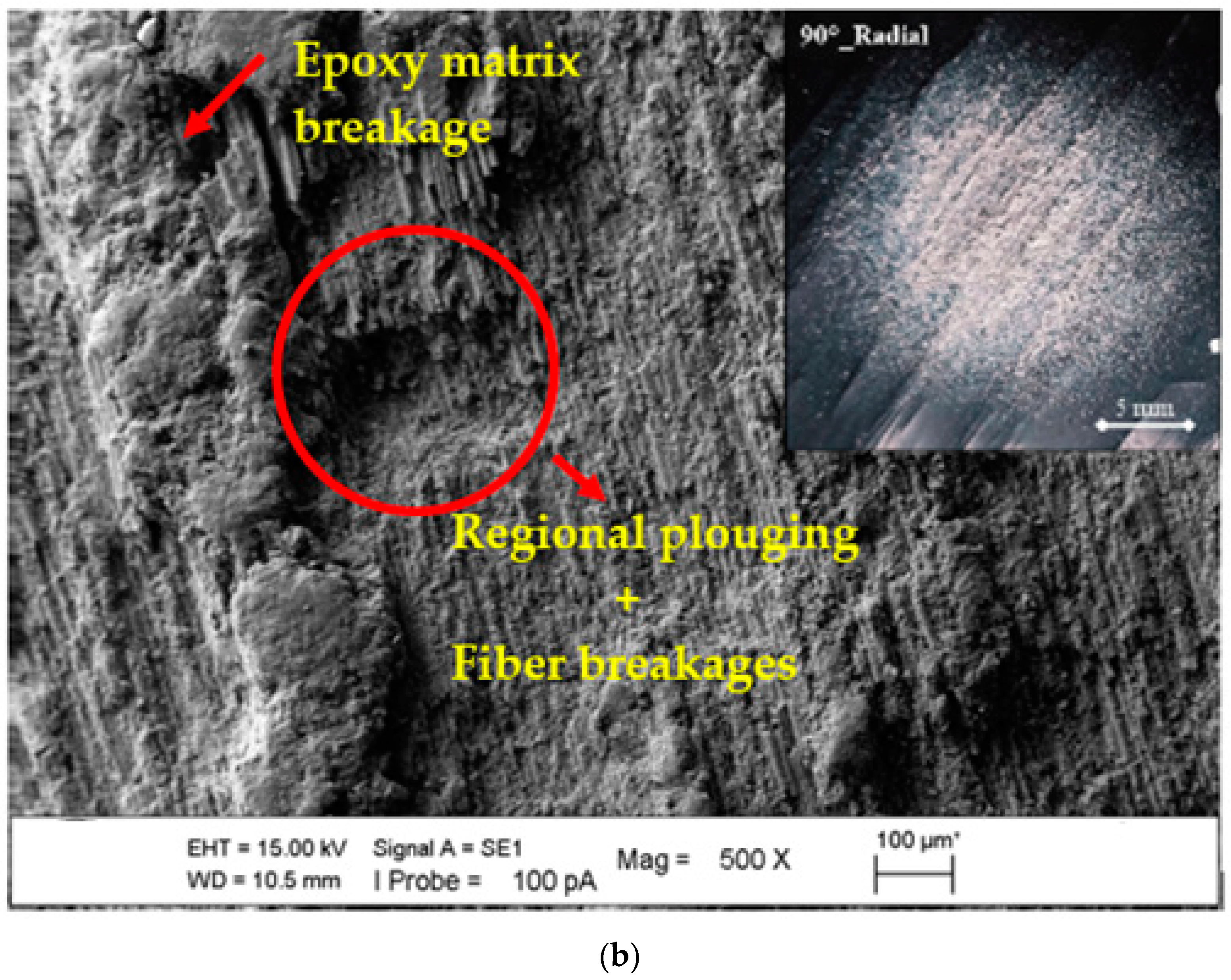 Polymers 15 00319 g014b Polymers 15 00319 g014b