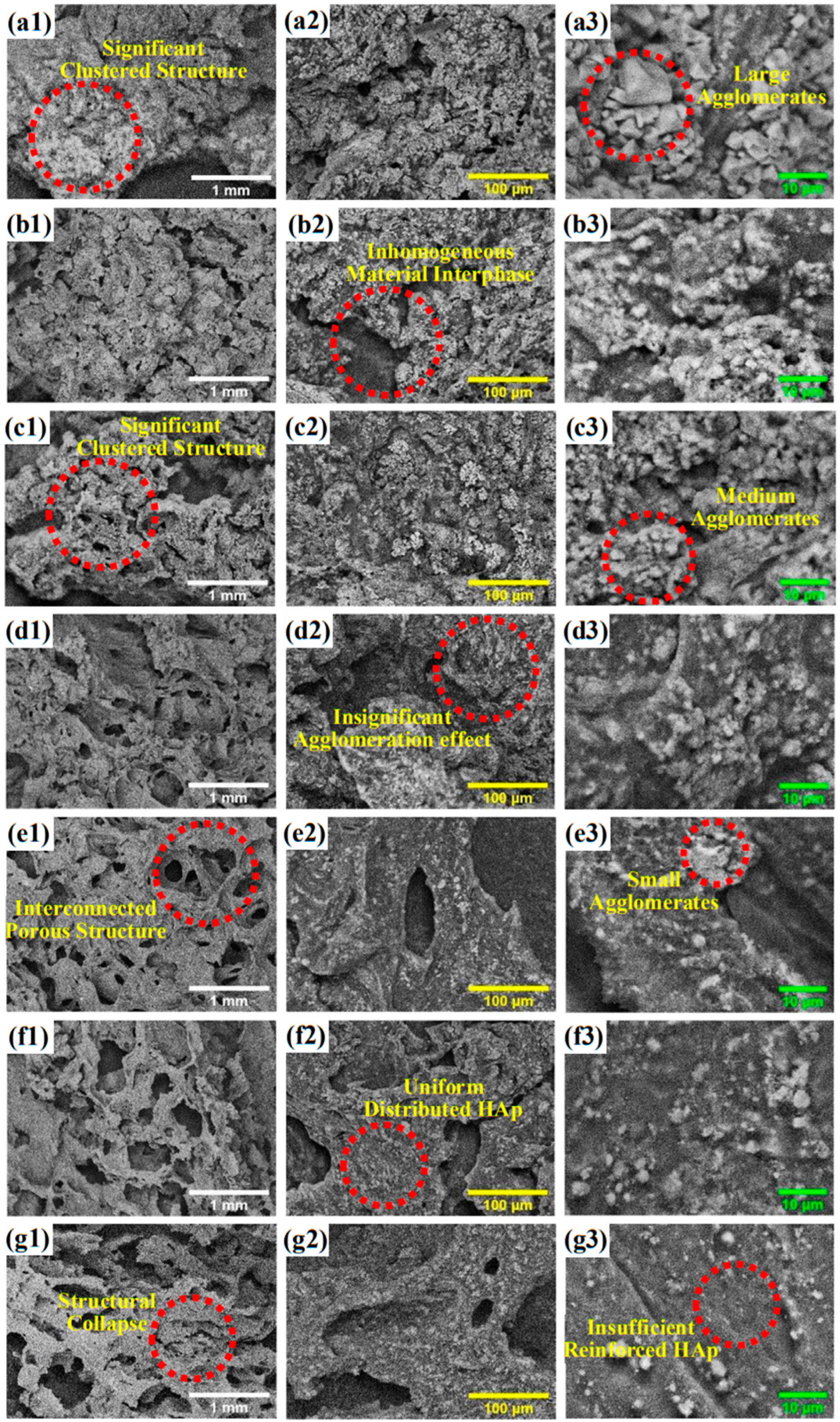 Polymers 15 00320 g001