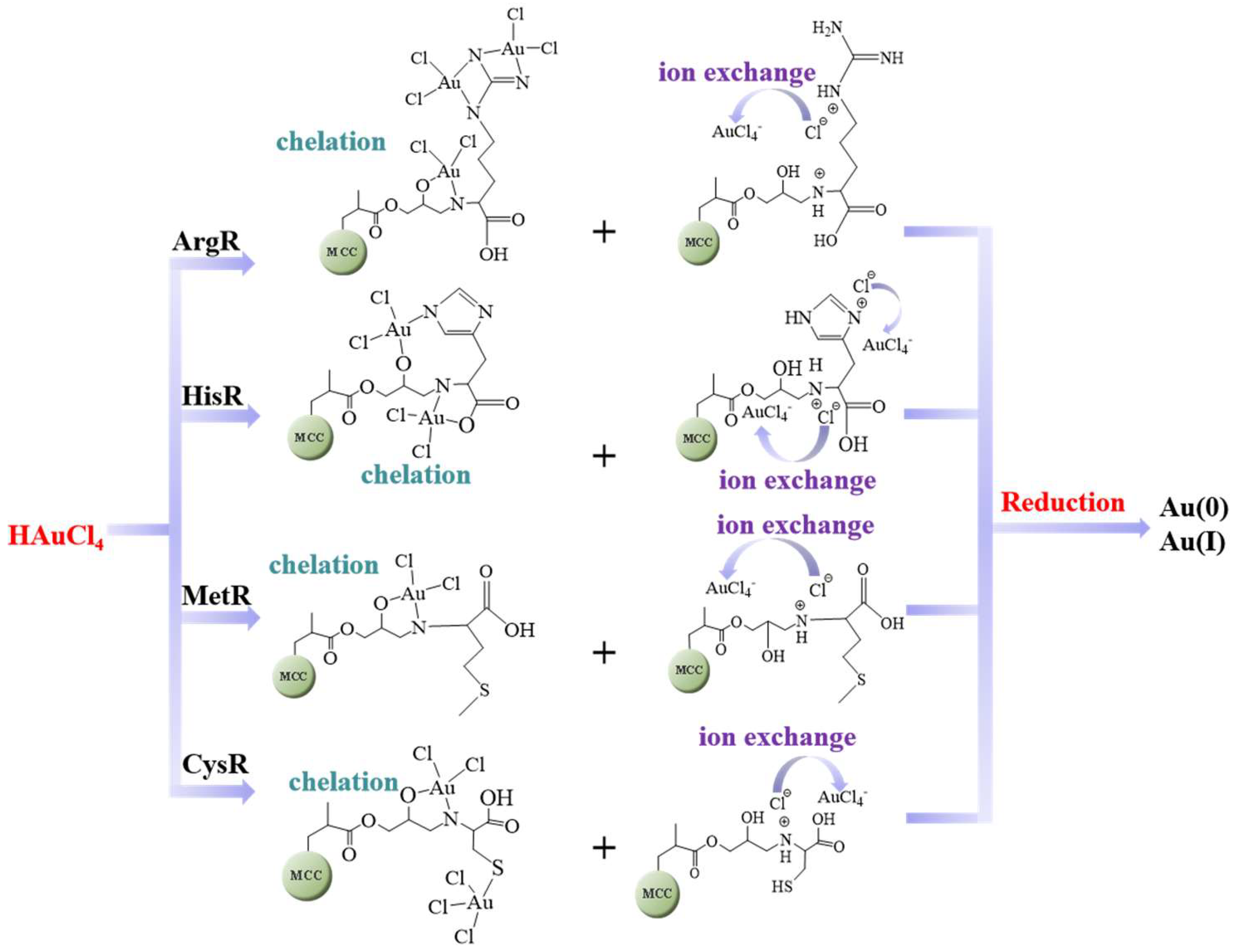 Polymers 15 00321 sch002 Polymers 15 00321 sch002