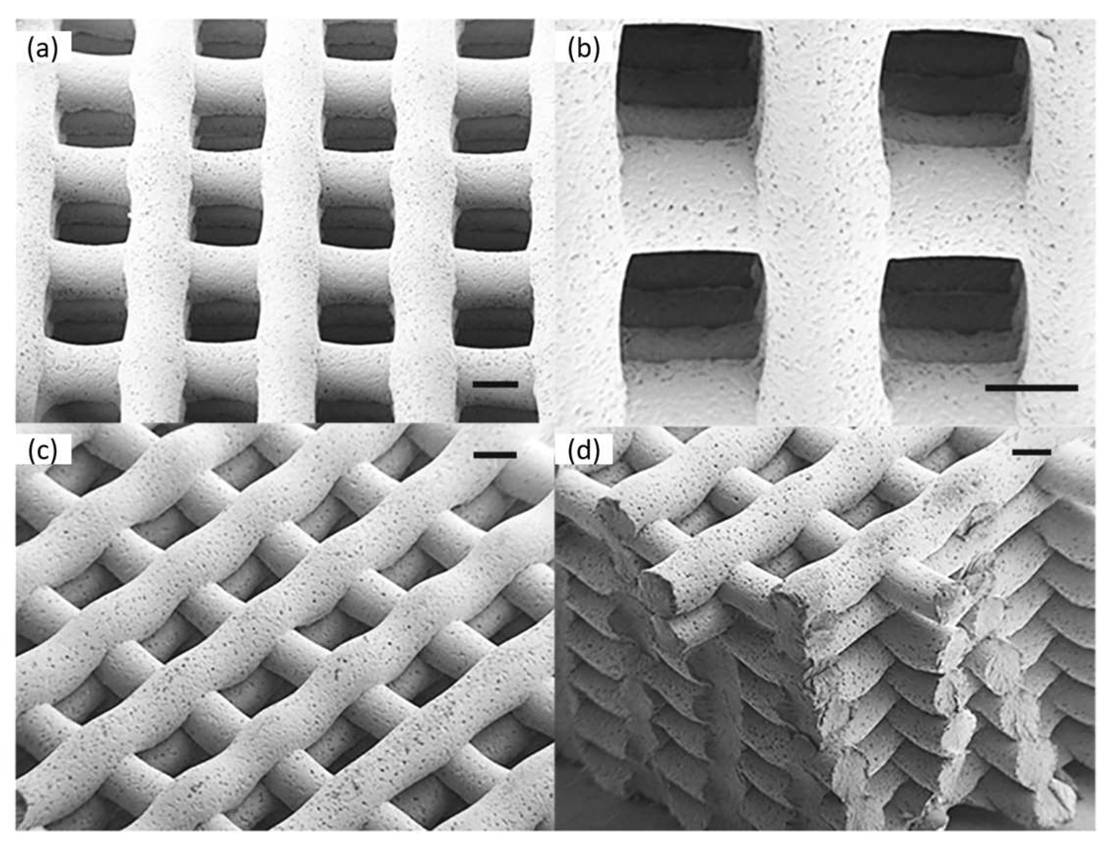 Polymers 15 00322 g003 Polymers 15 00322 g003