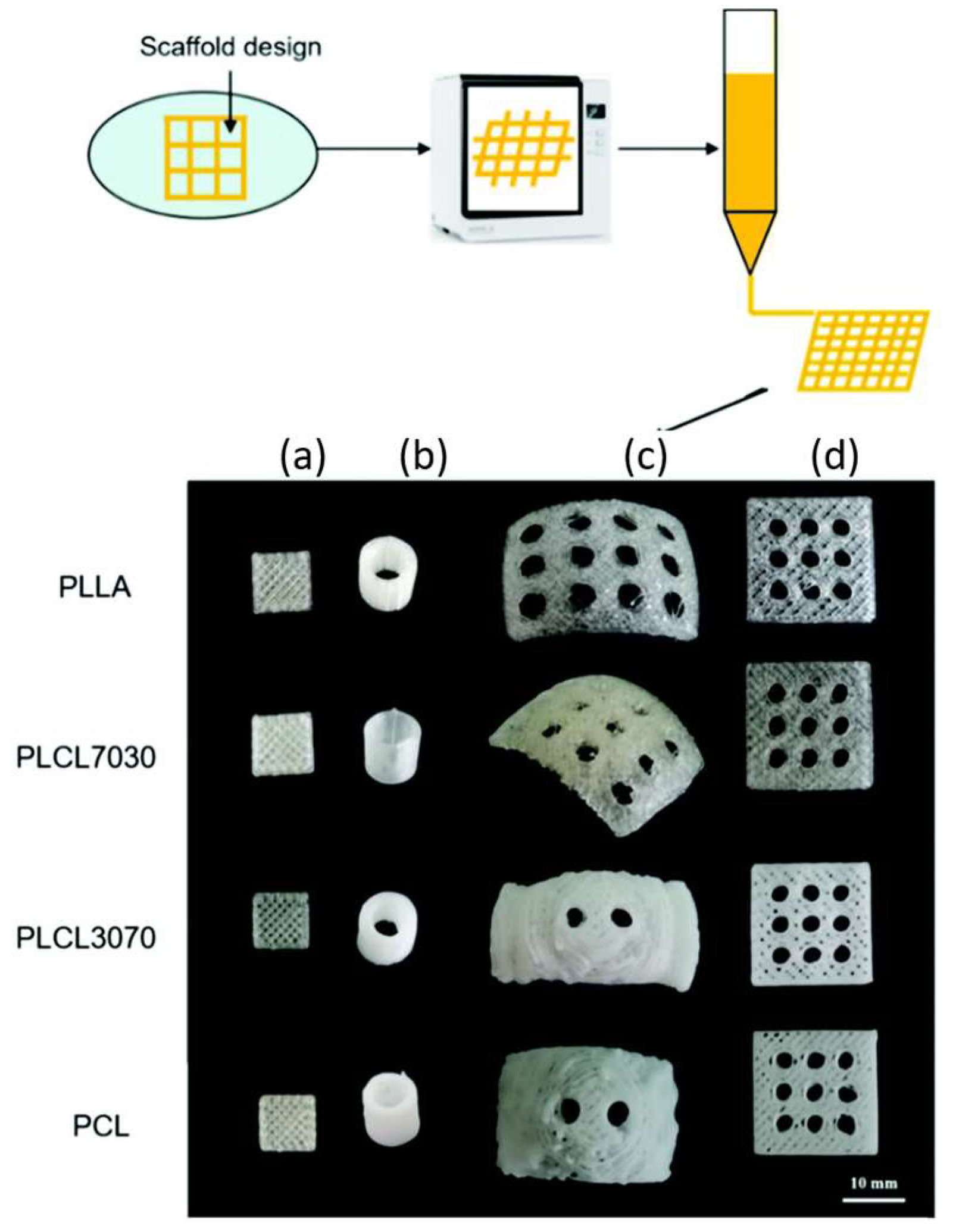 Polymers 15 00322 g004 Polymers 15 00322 g004
