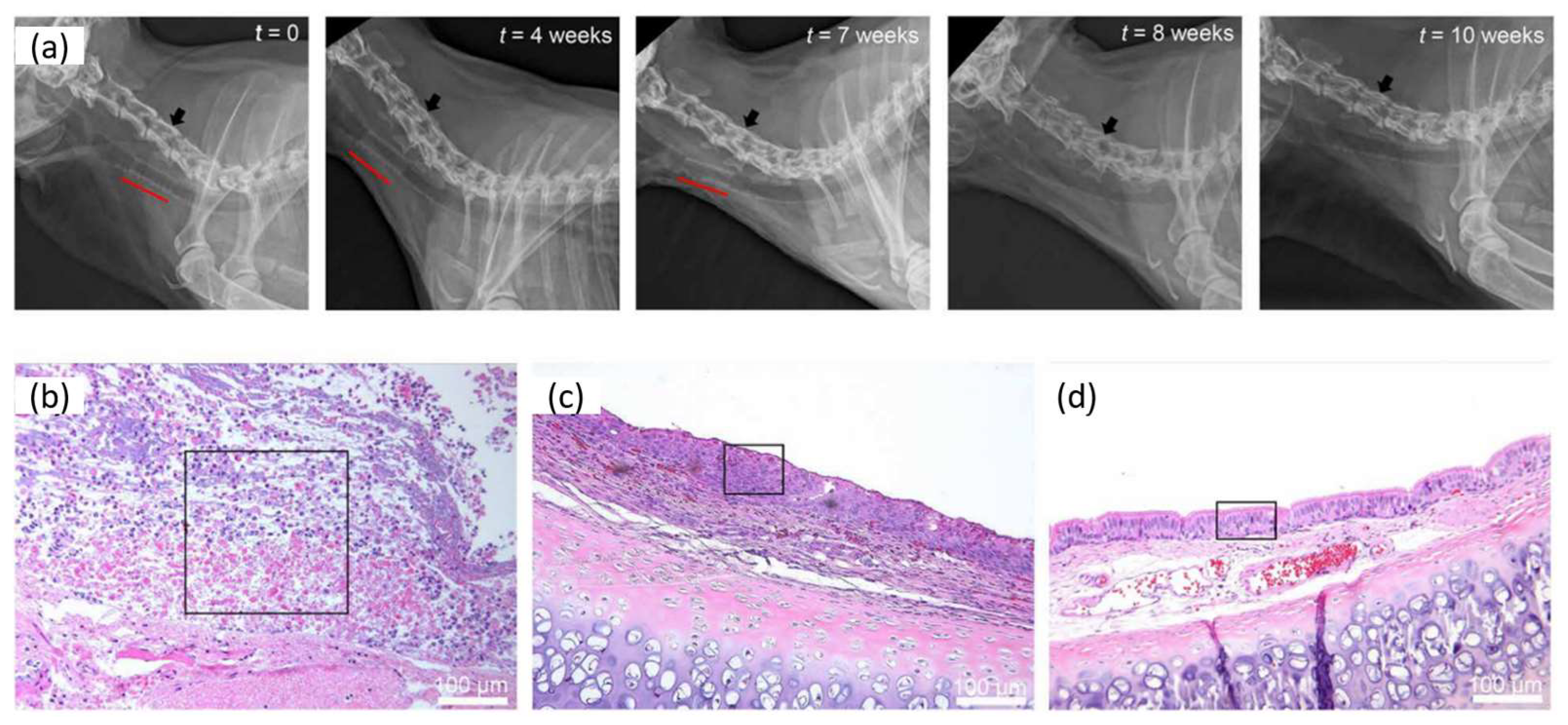 Polymers 15 00322 g005 Polymers 15 00322 g005