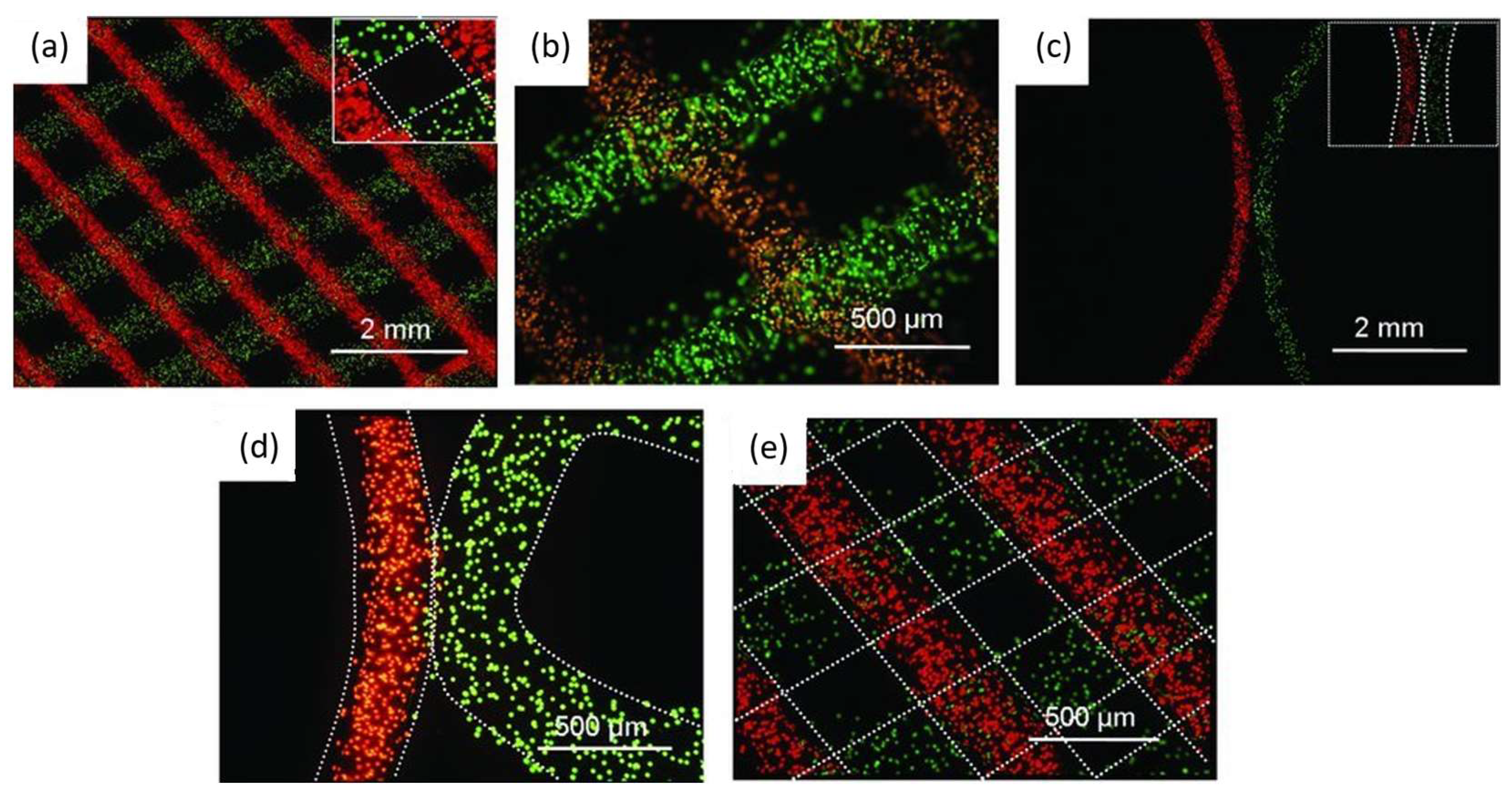 Polymers 15 00322 g006 Polymers 15 00322 g006