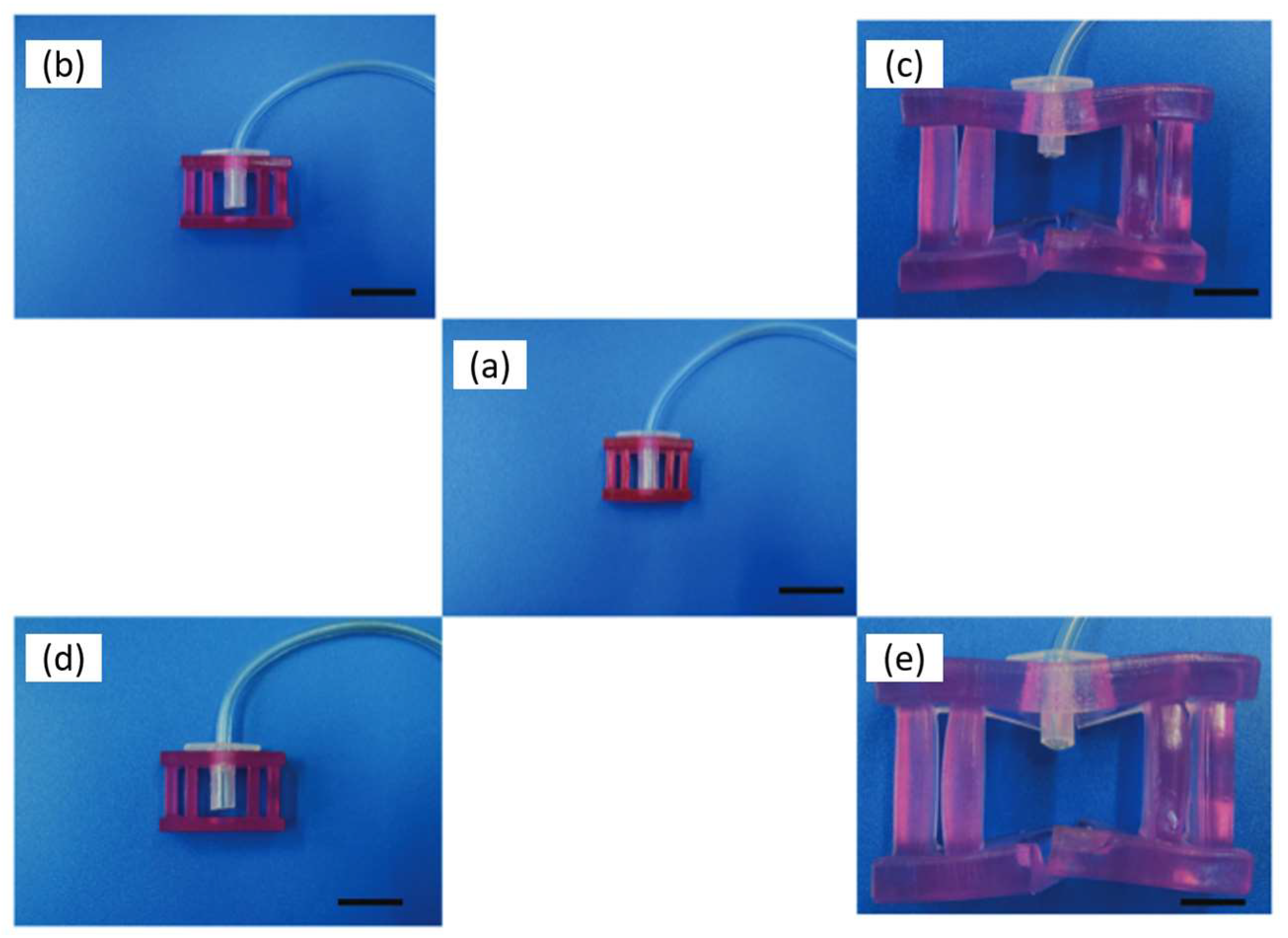 Polymers 15 00322 g014 Polymers 15 00322 g014
