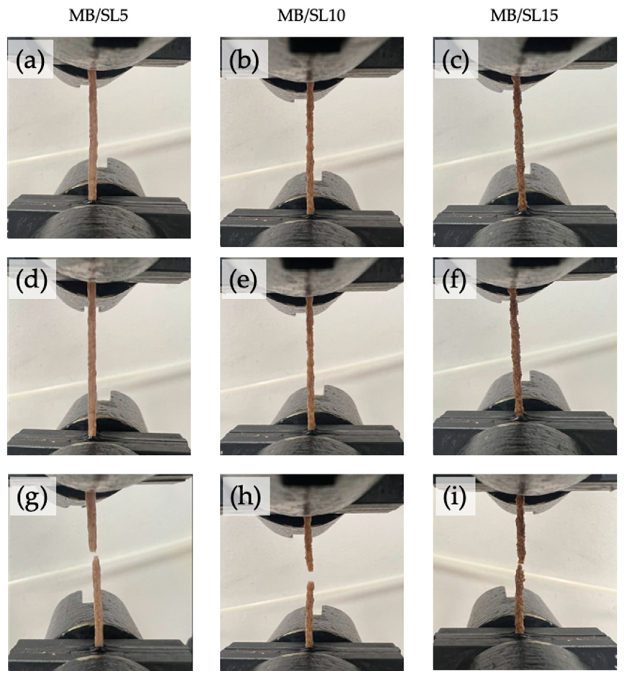 Polymers 15 00325 g005
