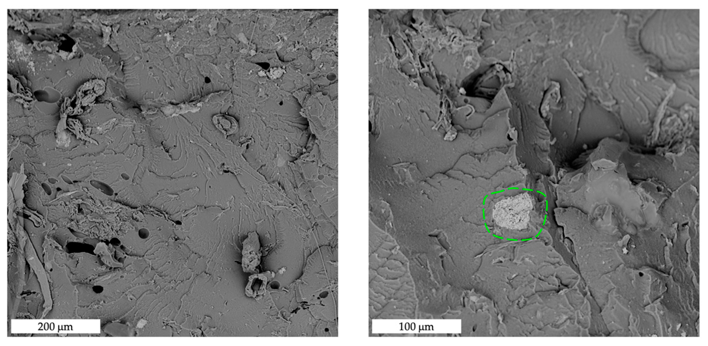 Polymers 15 00325 g007