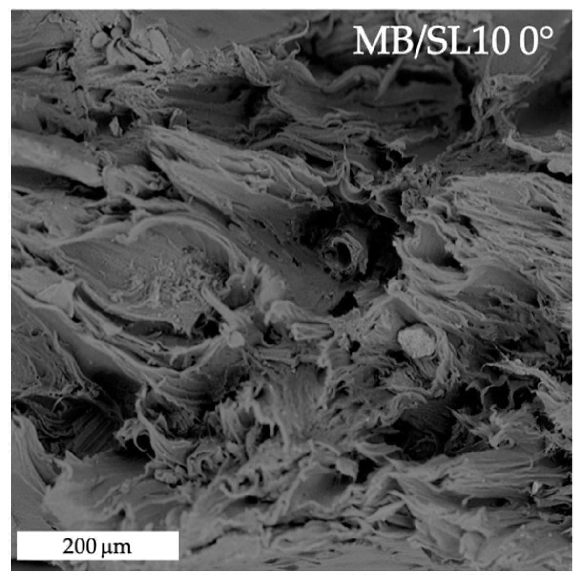 Polymers 15 00325 g010