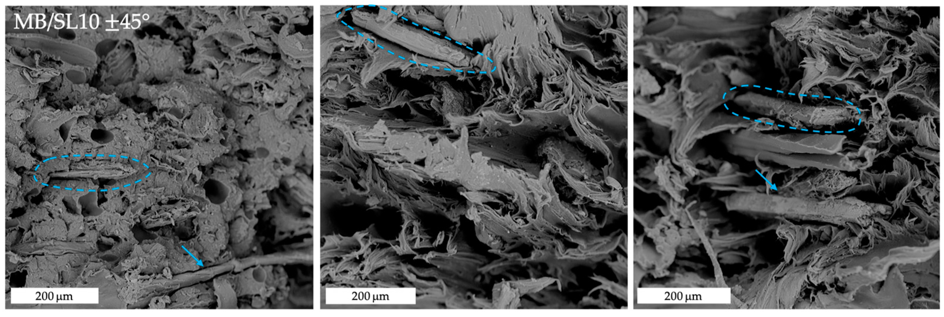 Polymers 15 00325 g011