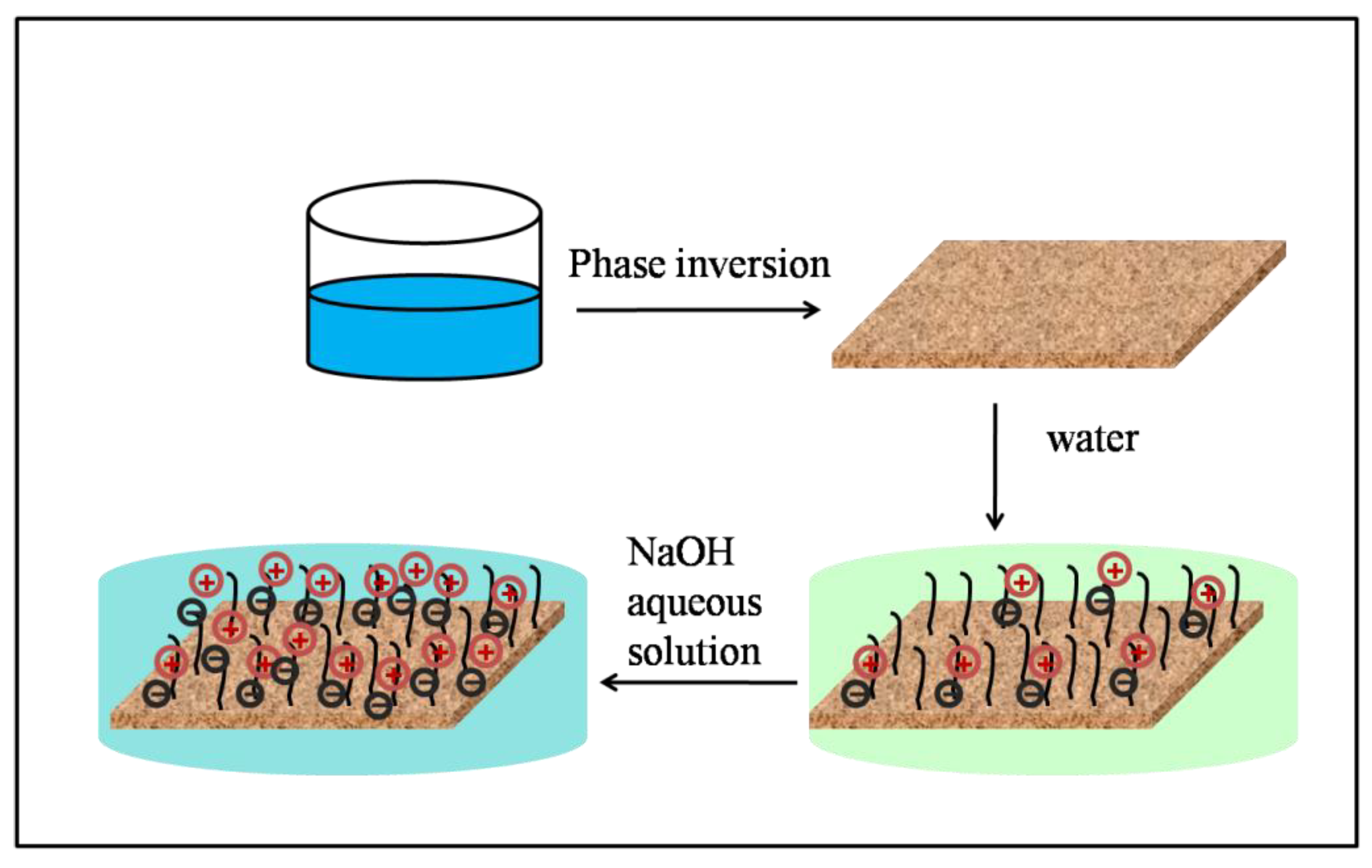 Polymers 15 00327 g007