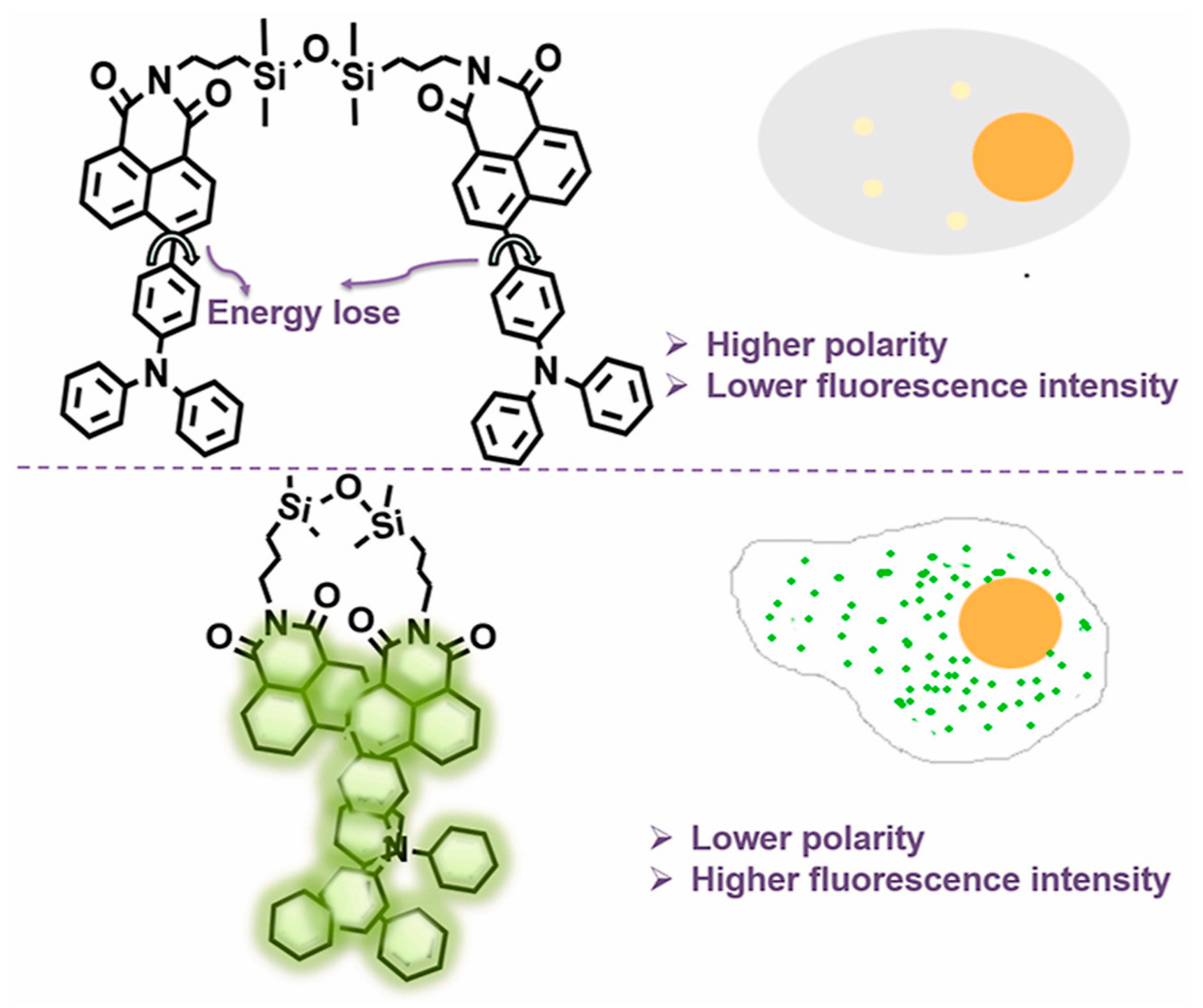 Polymers 15 00332 g004