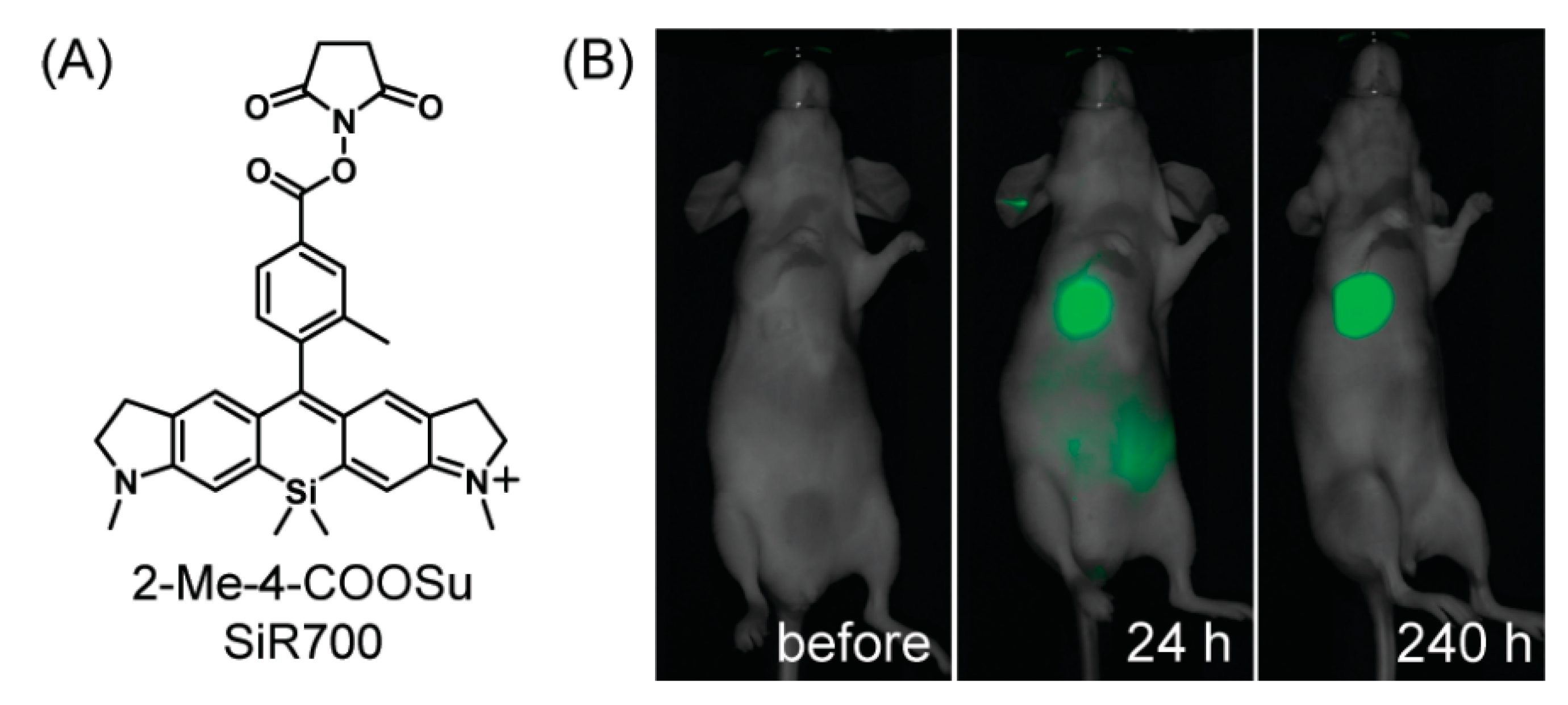 Polymers 15 00332 g014