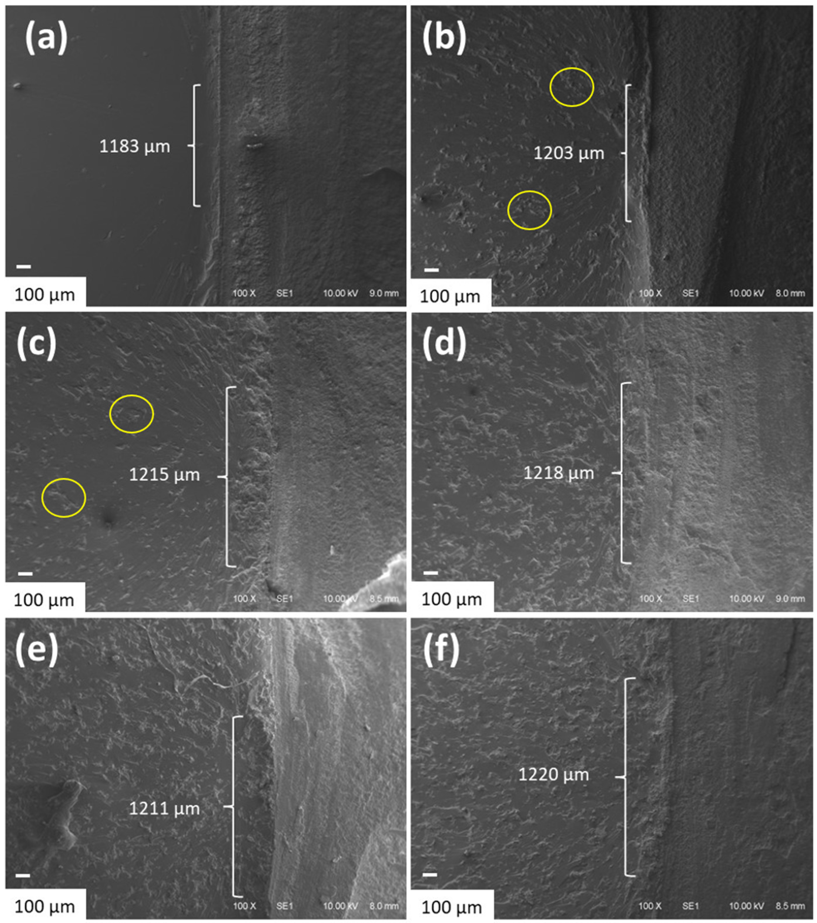 Polymers 15 00333 g006 Polymers 15 00333 g006
