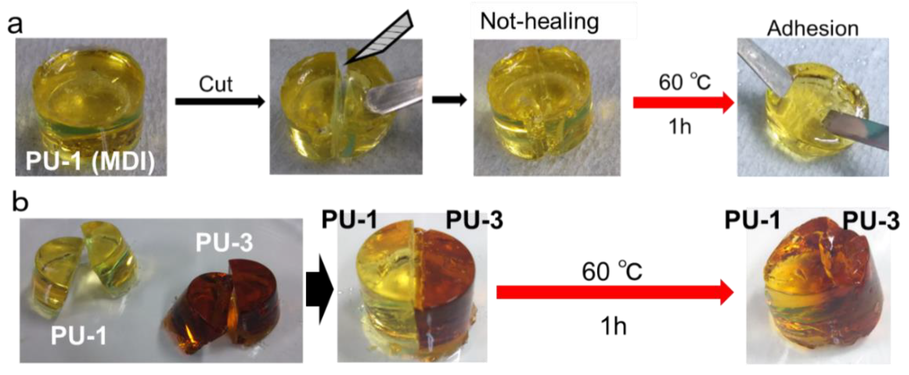 Polymers 15 00341 g004