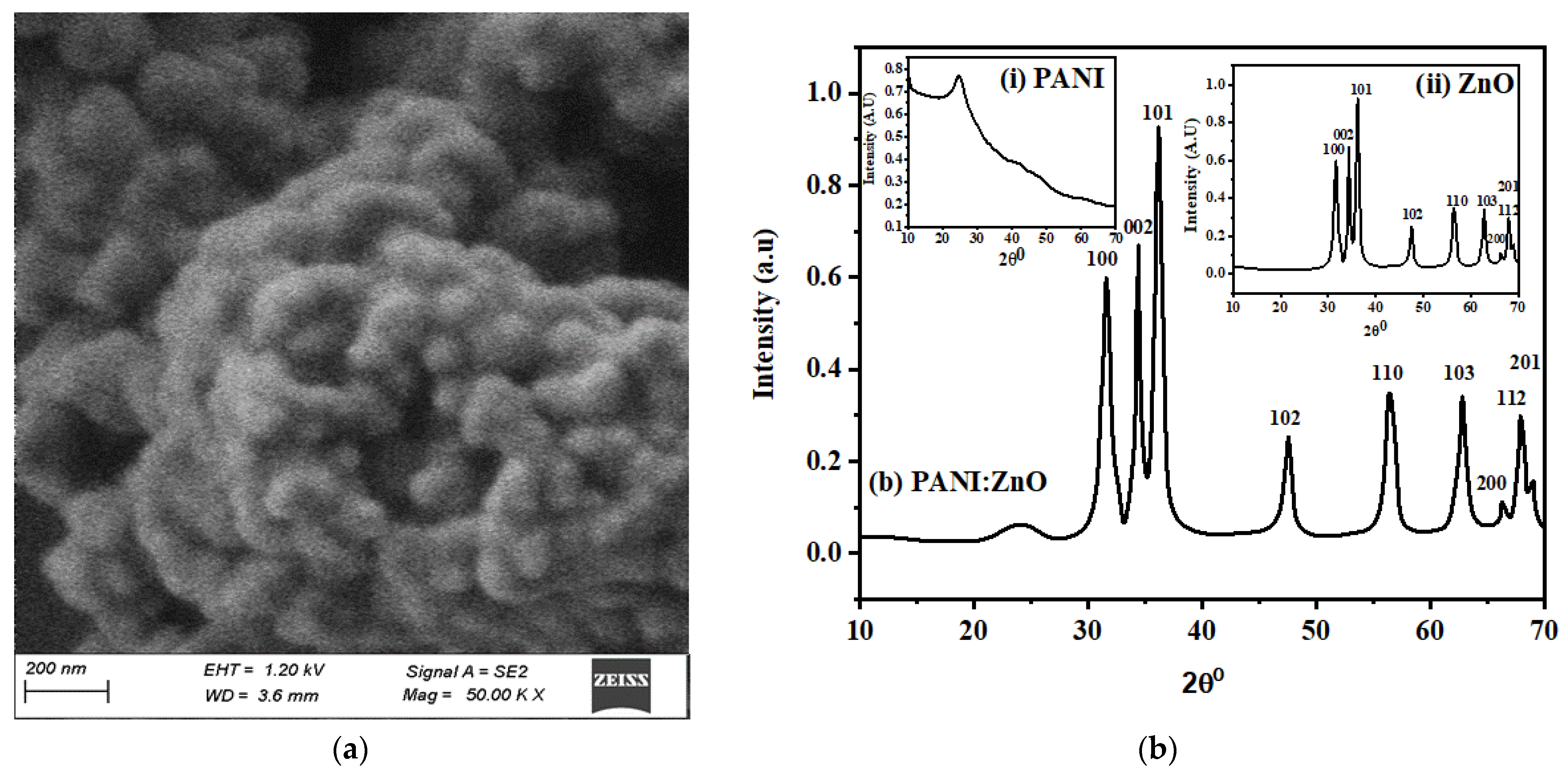 Polymers 15 00363 g002a