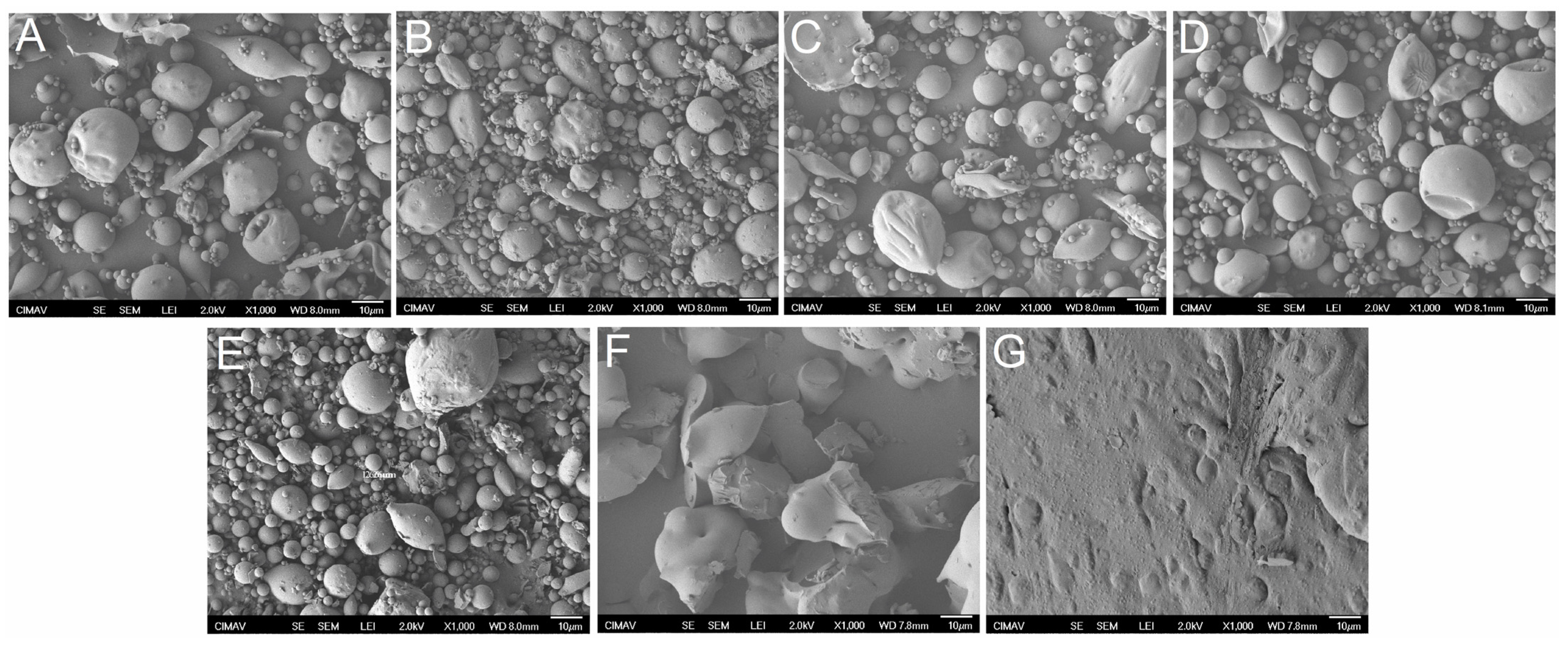 Polymers 15 00367 g004