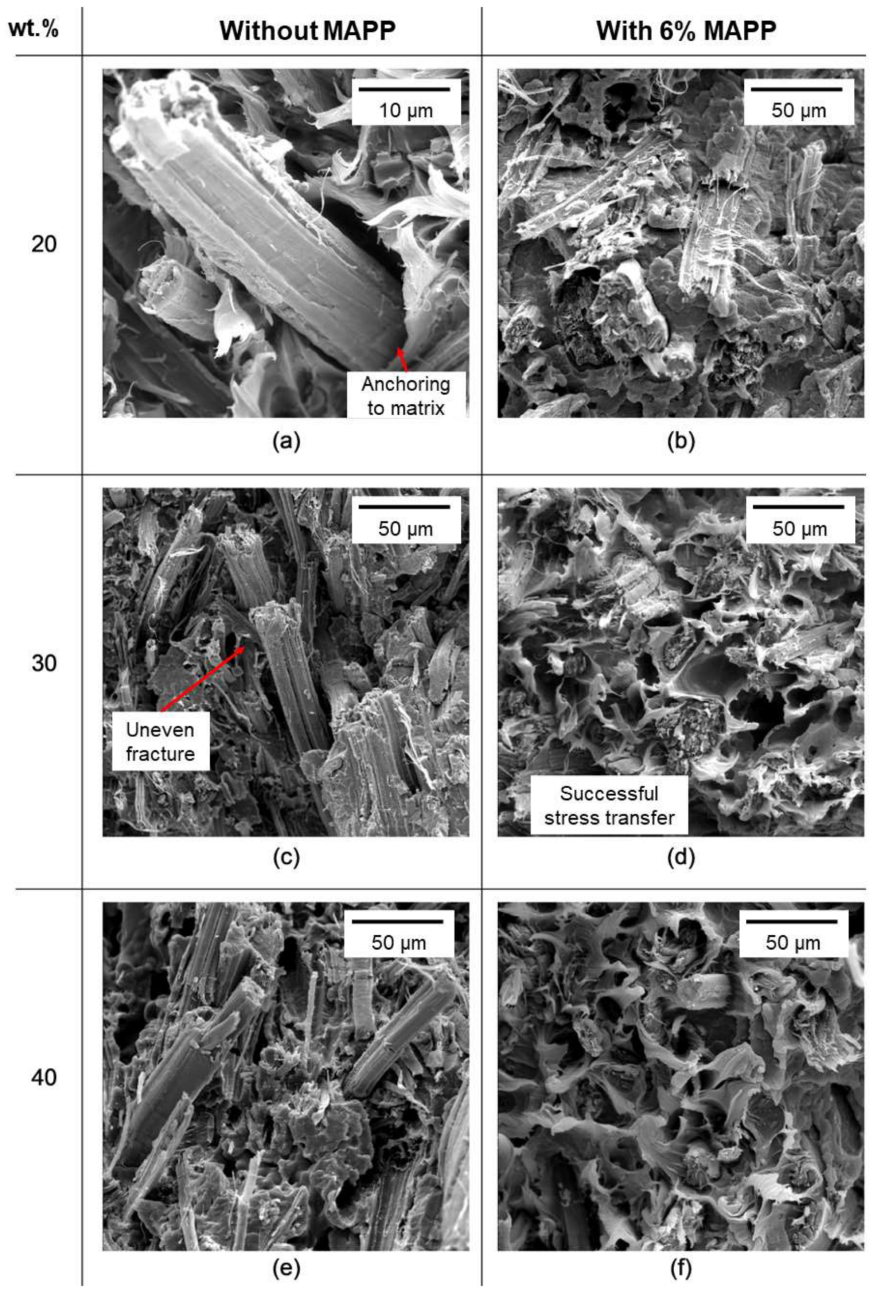 Polymers 15 00371 g006