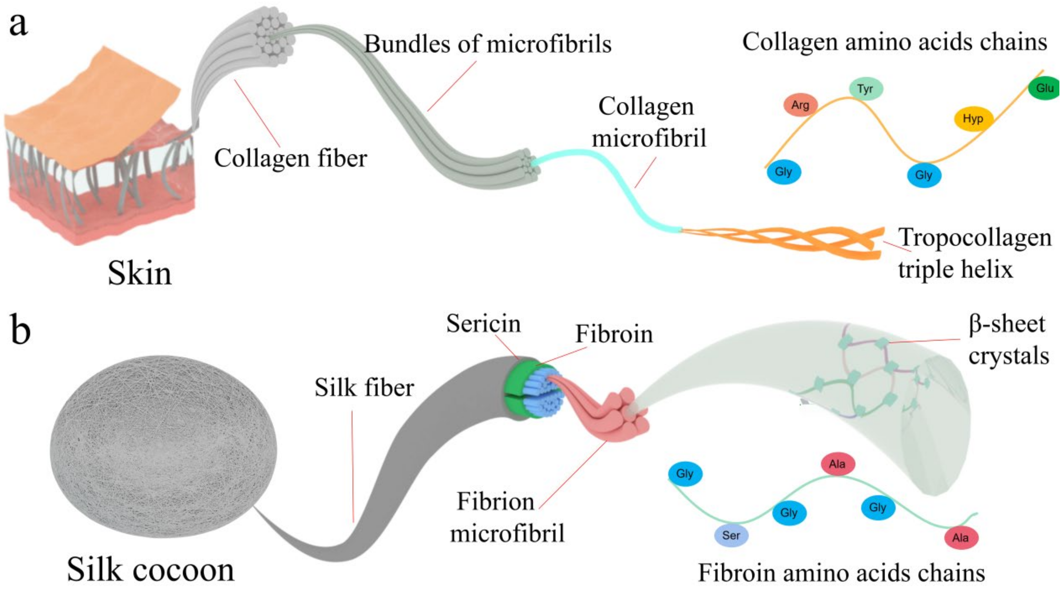 Polymers 15 00375 g002 Polymers 15 00375 g002