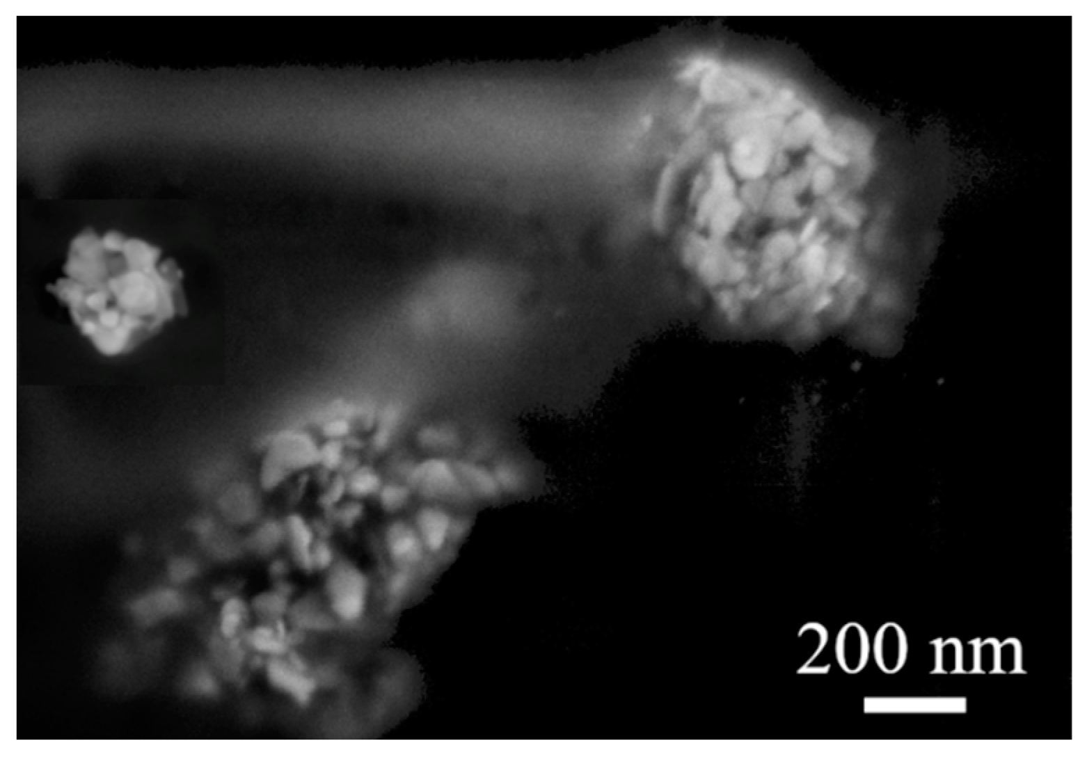 Polymers 15 00379 g007