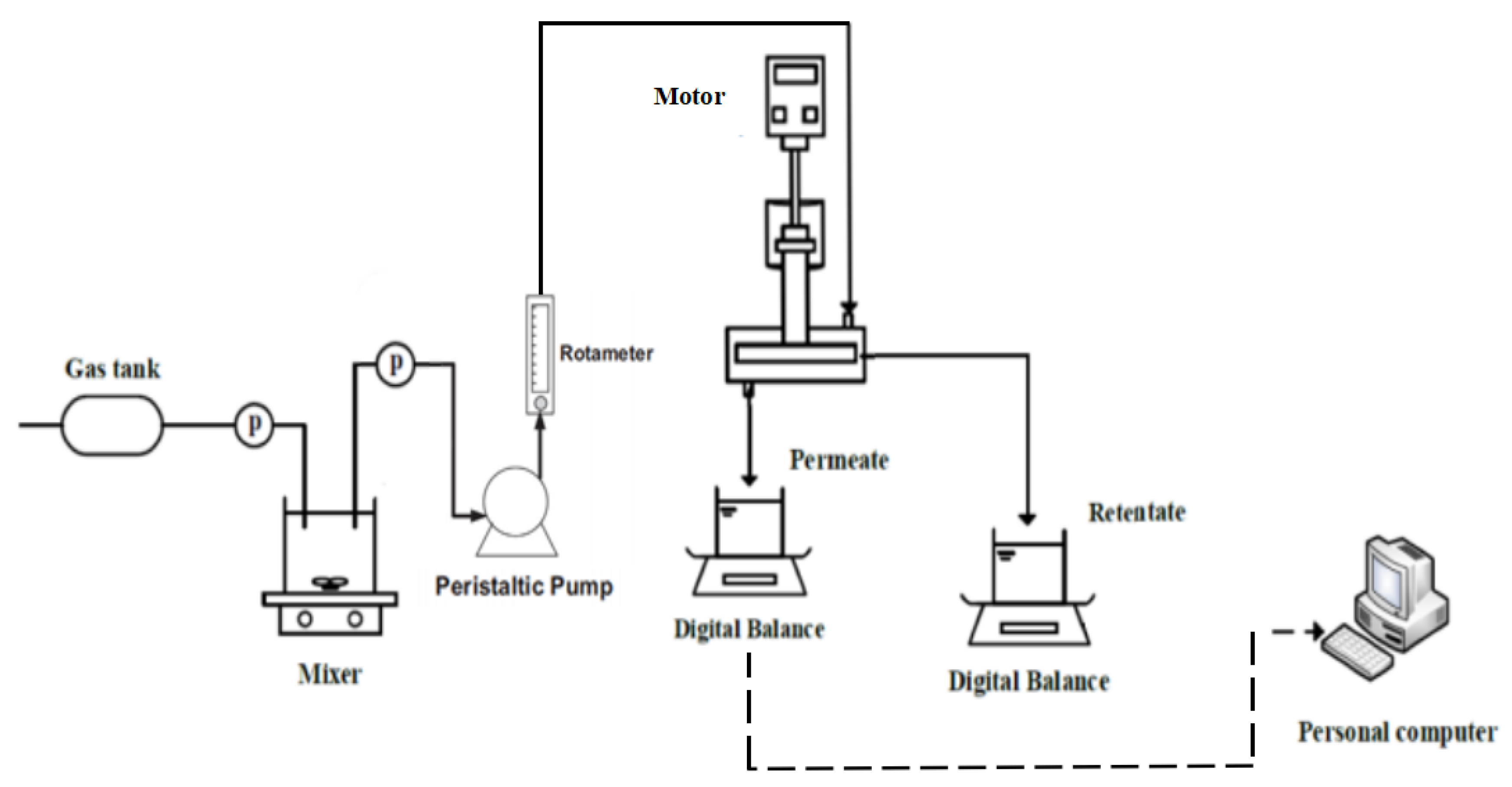 Polymers 15 00380 g014