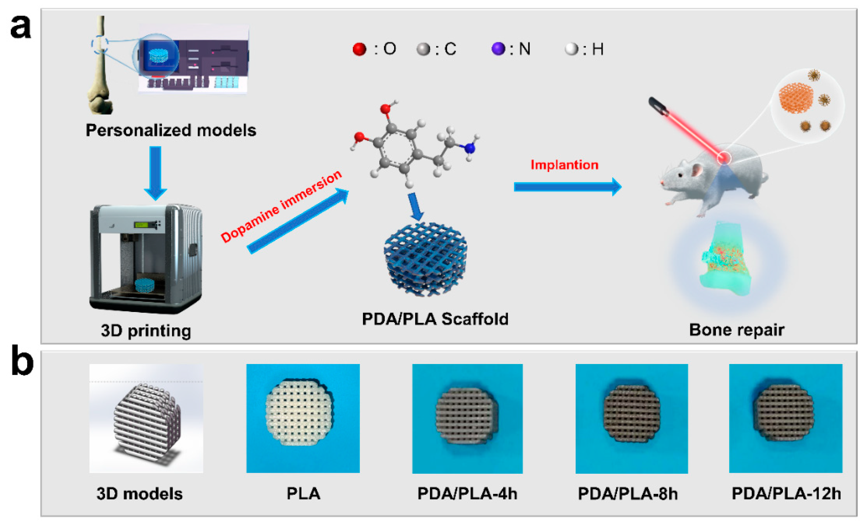 Polymers 15 00381 g001 Polymers 15 00381 g001