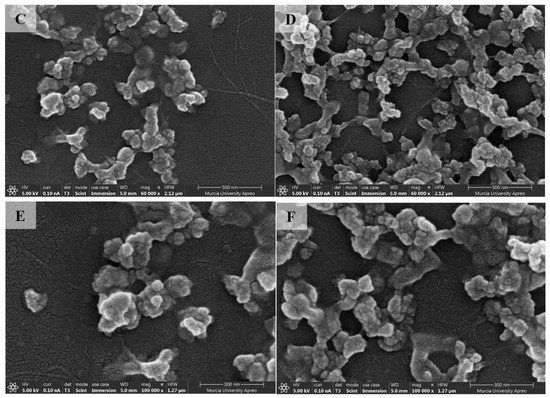 Synthesis of Cellulose Nanoparticles from Ionic Liquid Solutions for ...