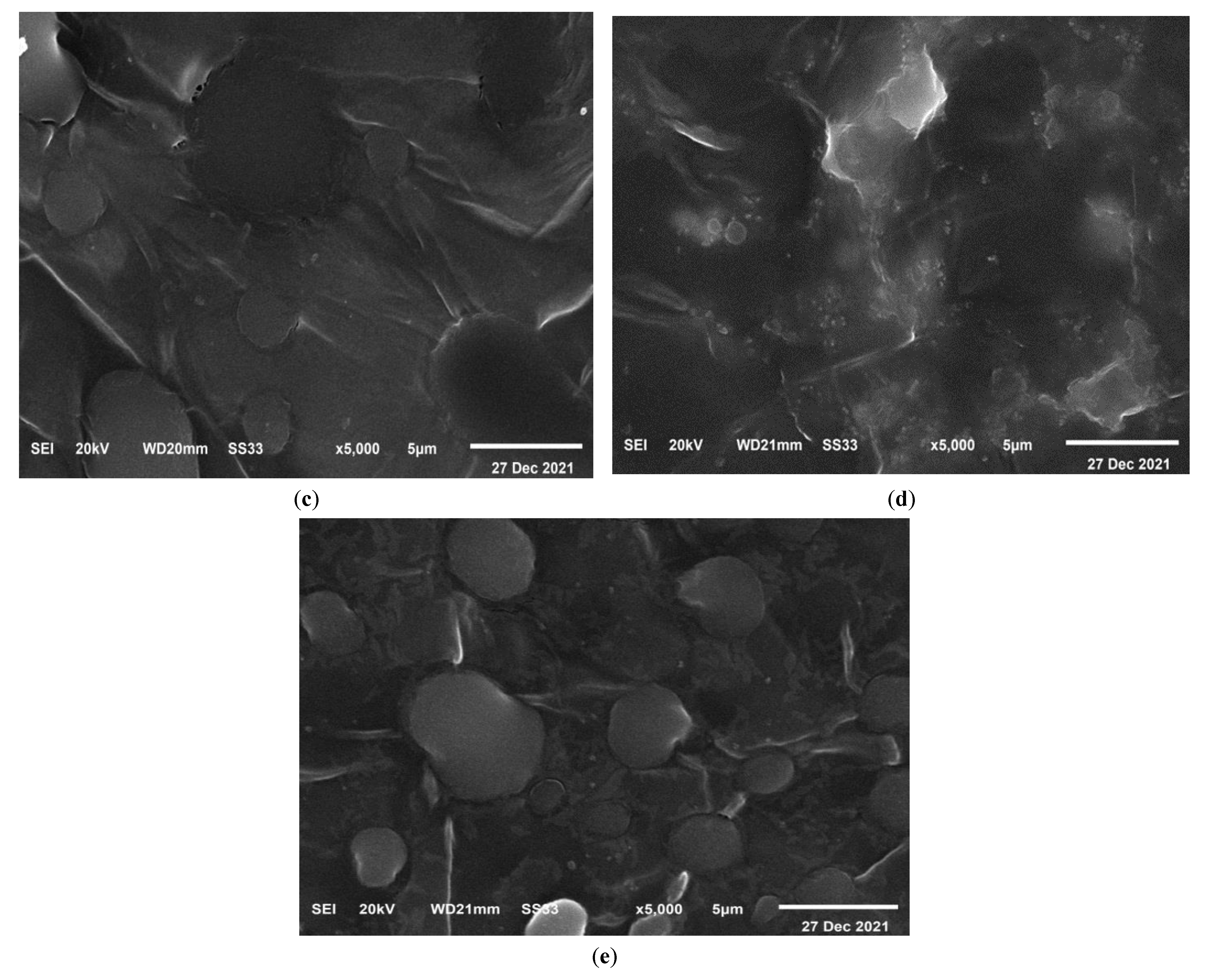 Polymers 15 00384 g009b Polymers 15 00384 g009b