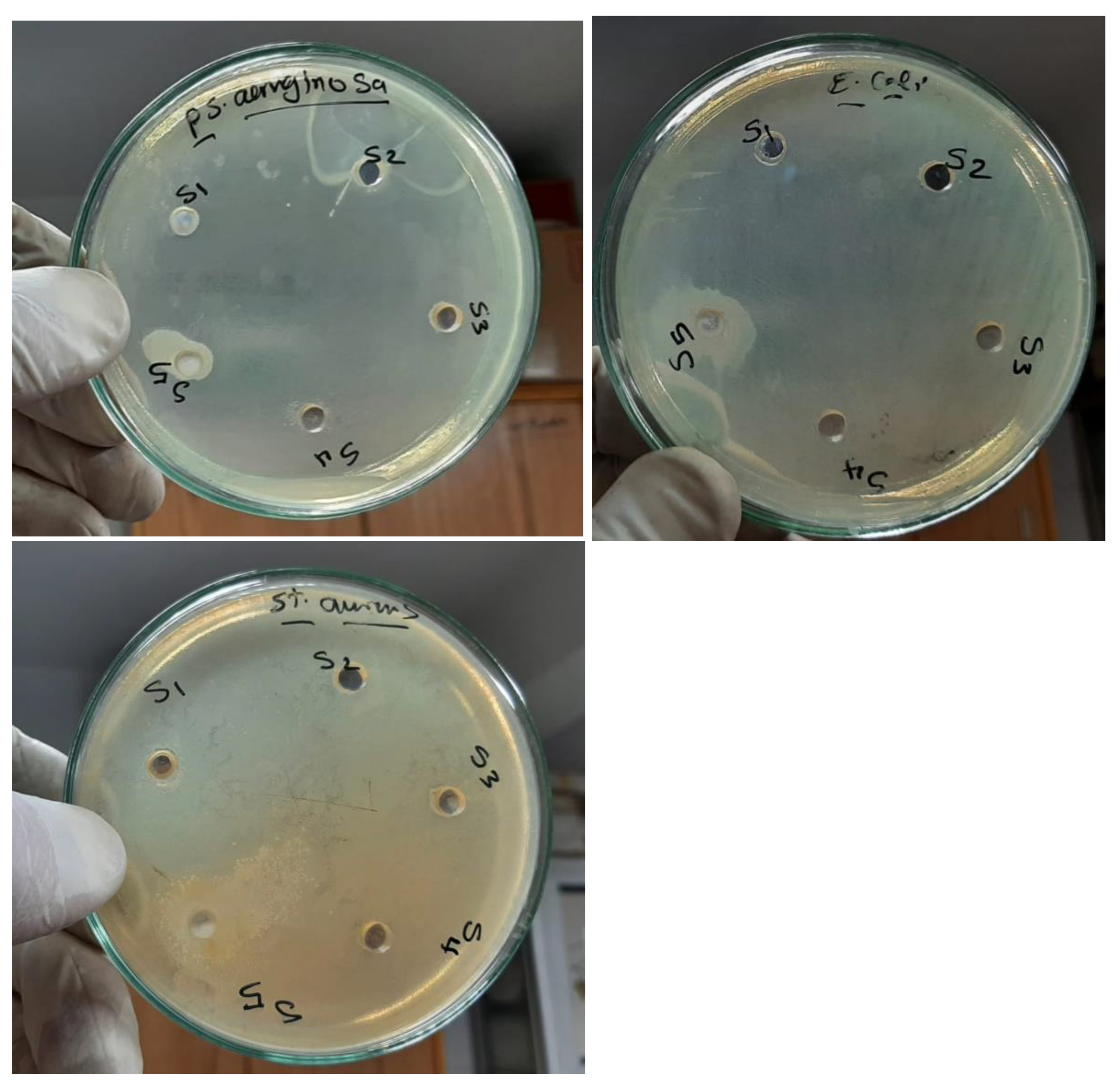 Polymers 15 00384 g010 Polymers 15 00384 g010