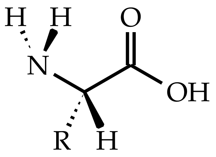 Polymers 15 00385 g001 Polymers 15 00385 g001