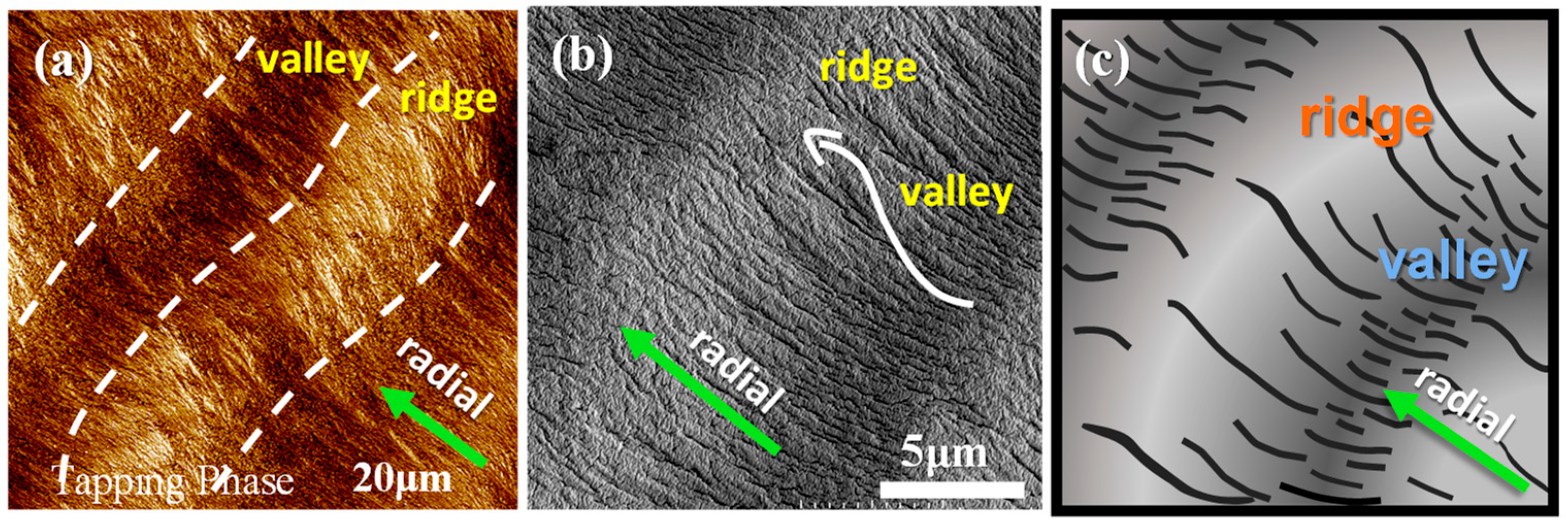 Polymers 15 00393 g006 Polymers 15 00393 g006