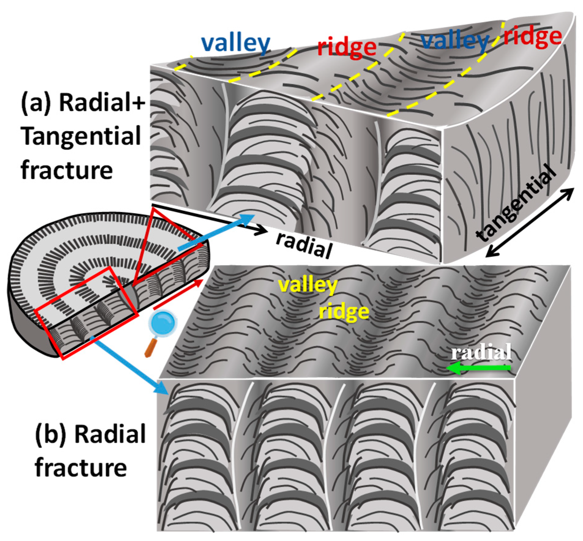 Polymers 15 00393 g012 Polymers 15 00393 g012